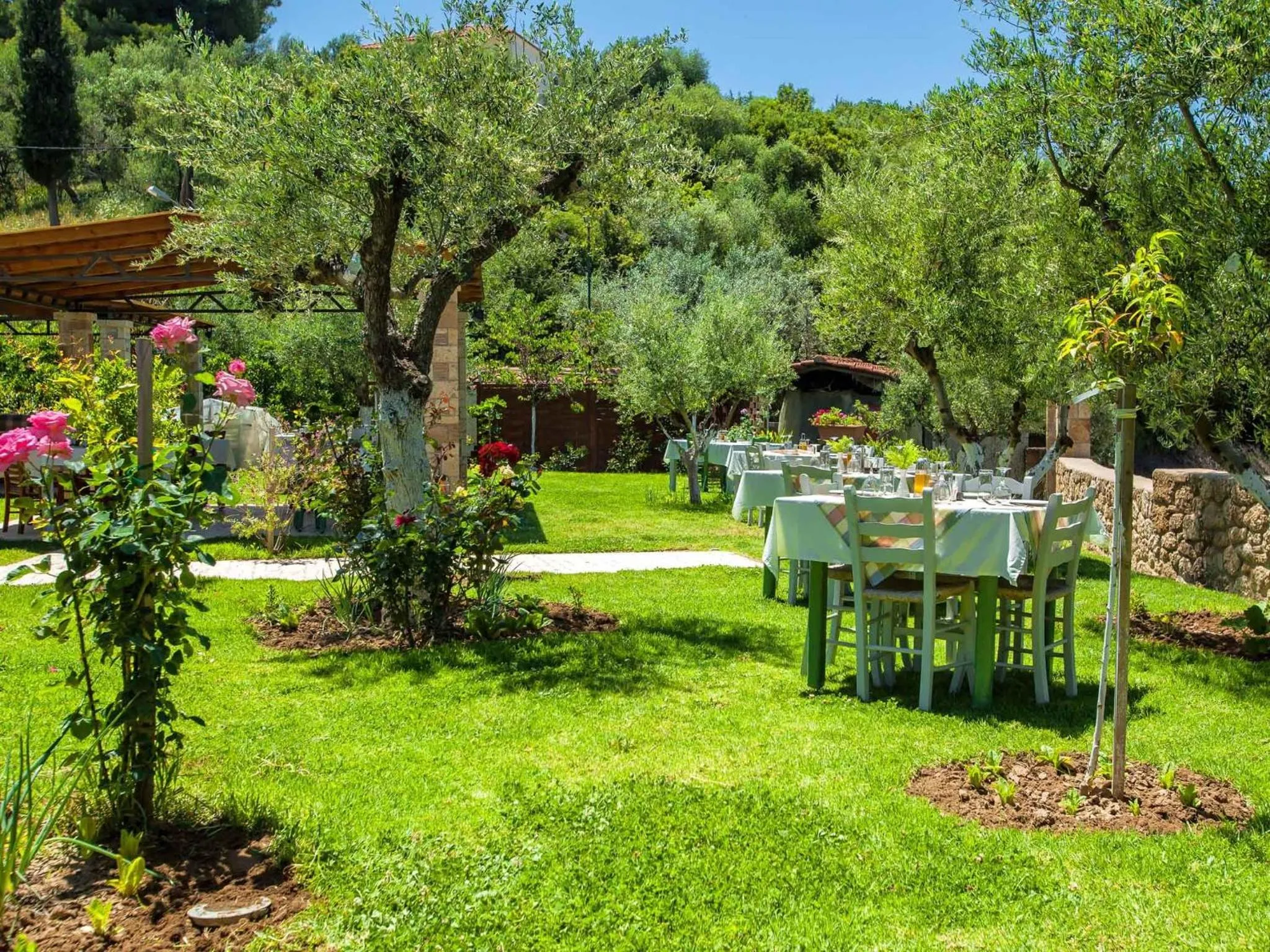 Restaurant/places to eat in Hotel Europa Olympia