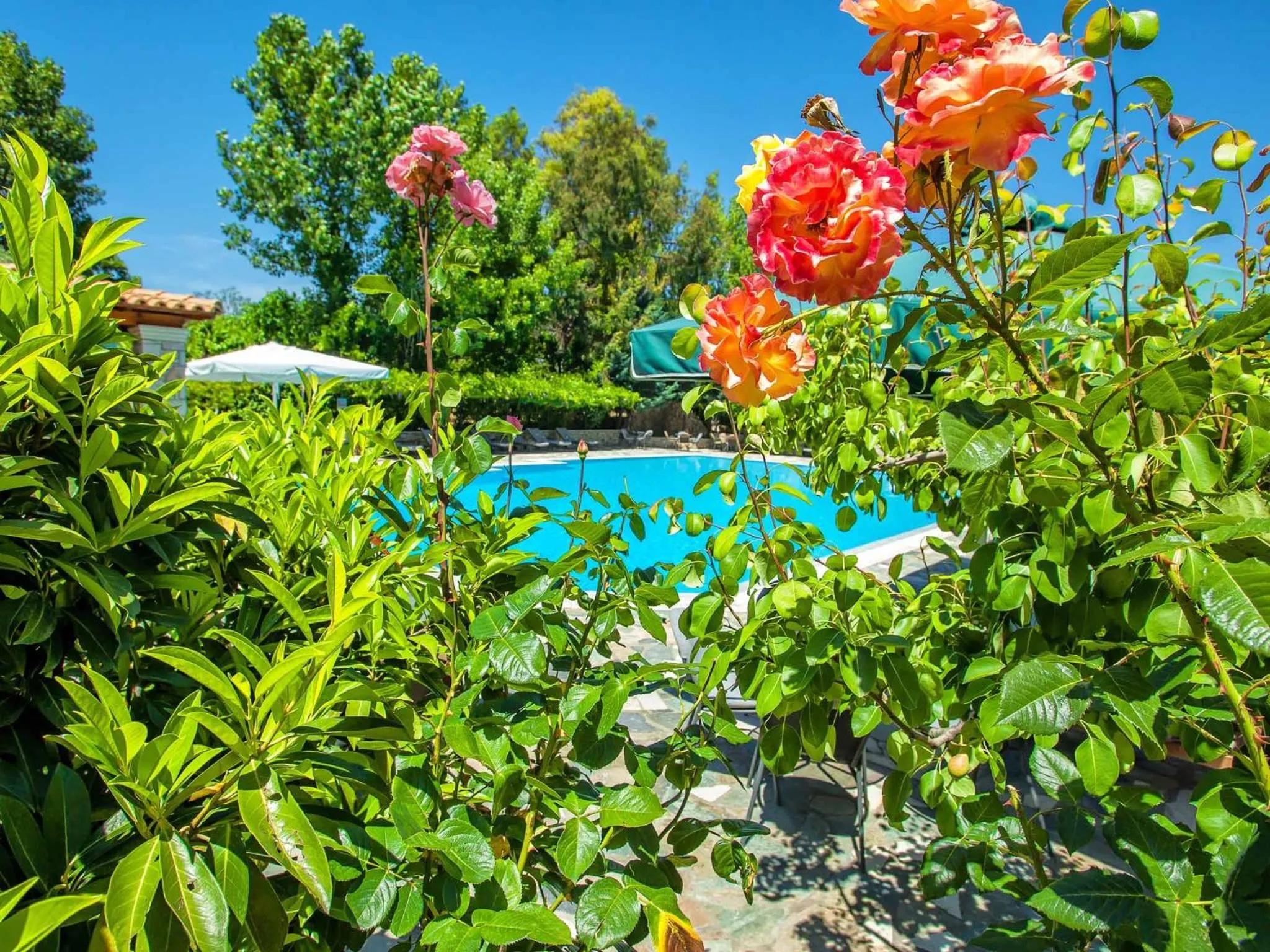 Garden in Hotel Europa Olympia
