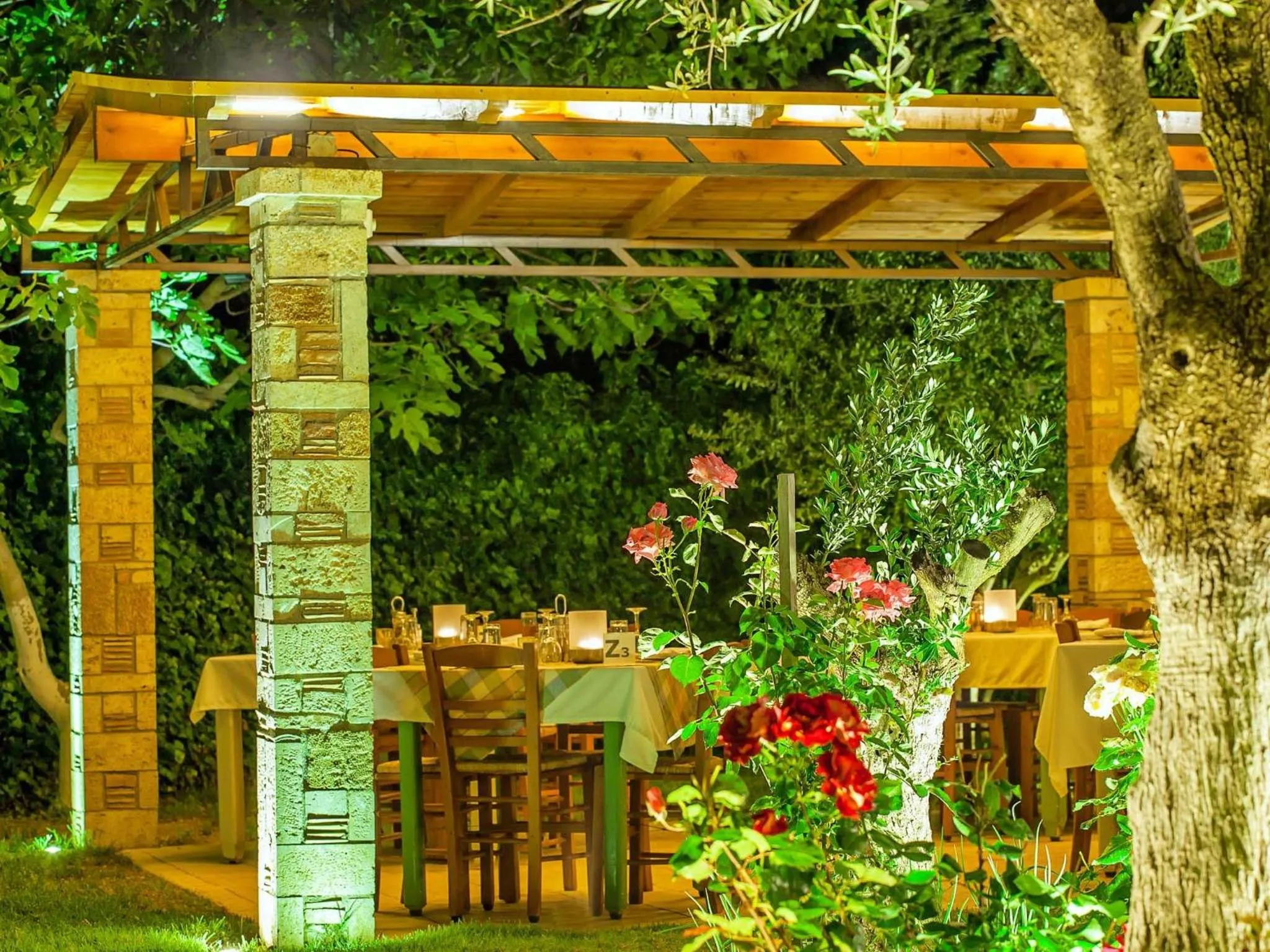 BBQ facilities in Hotel Europa Olympia