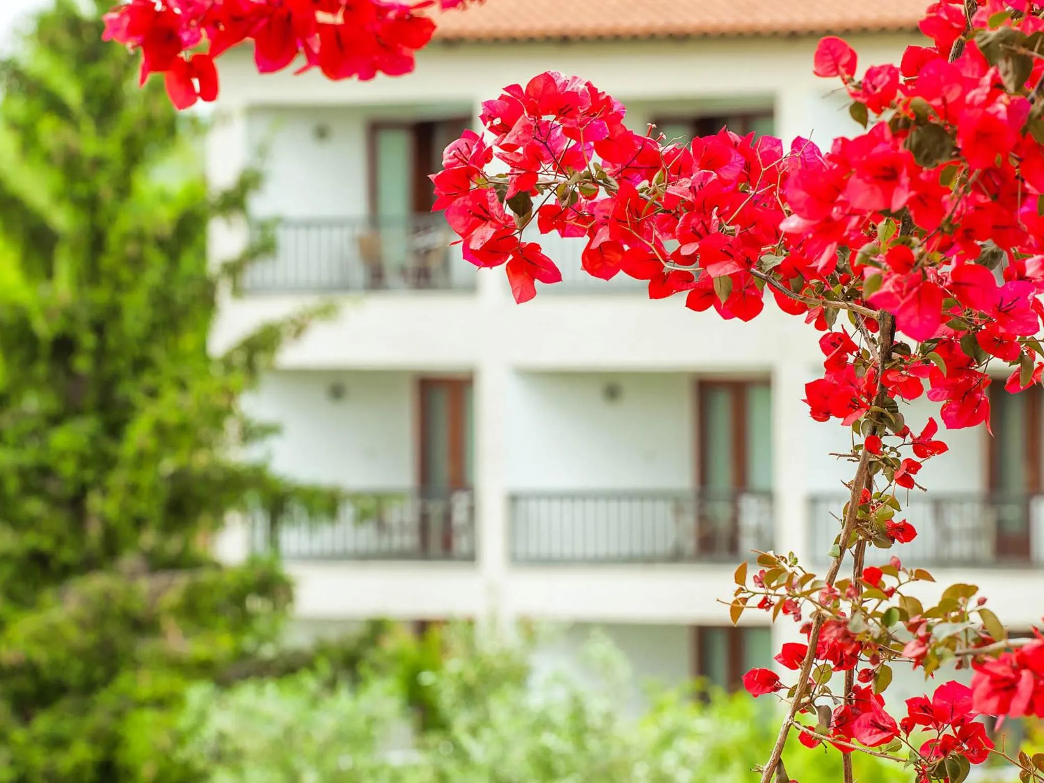 Bird's eye view in Hotel Europa Olympia