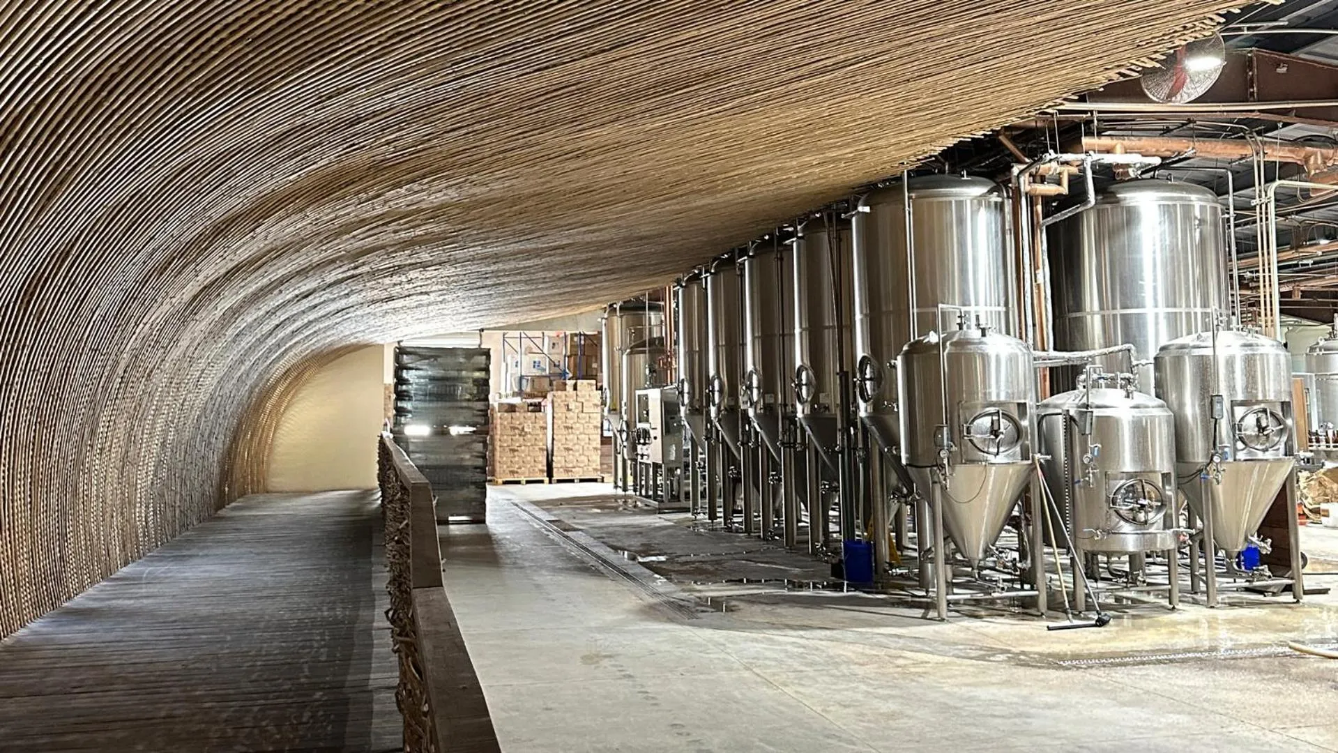 Activities in CervecerIa Tulum Boutique Hotel & Beer Spa