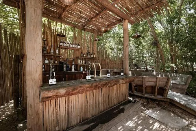 Natural landscape in CervecerIa Tulum Boutique Hotel & Beer Spa
