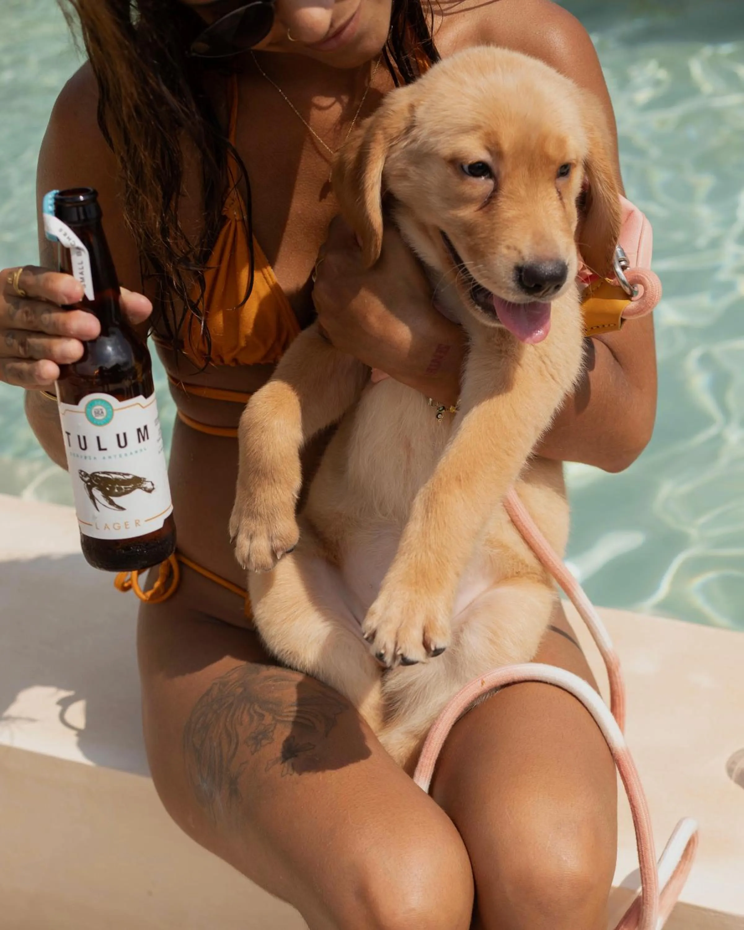 Pets in CervecerIa Tulum Boutique Hotel & Beer Spa