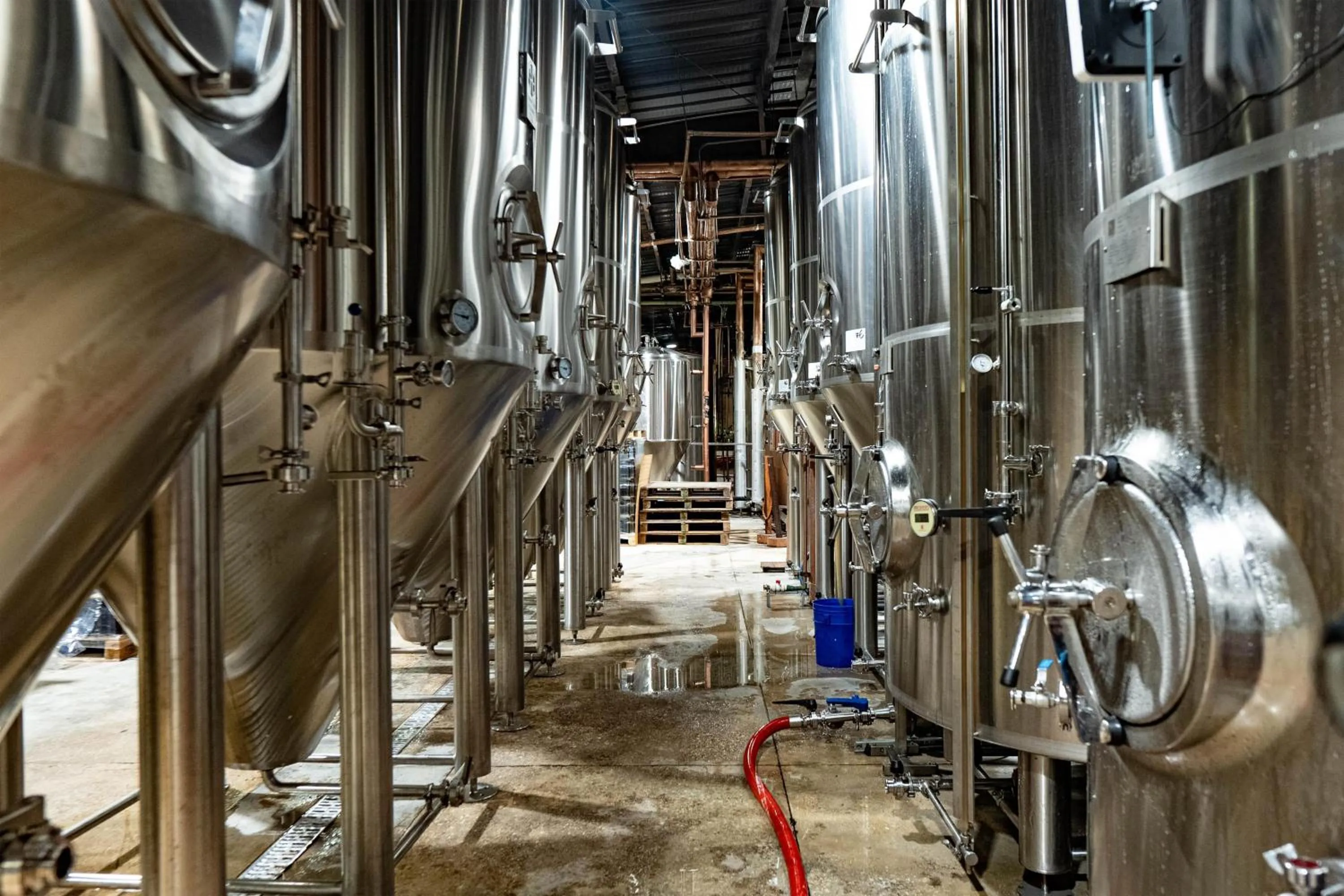 Activities in CervecerIa Tulum Boutique Hotel & Beer Spa