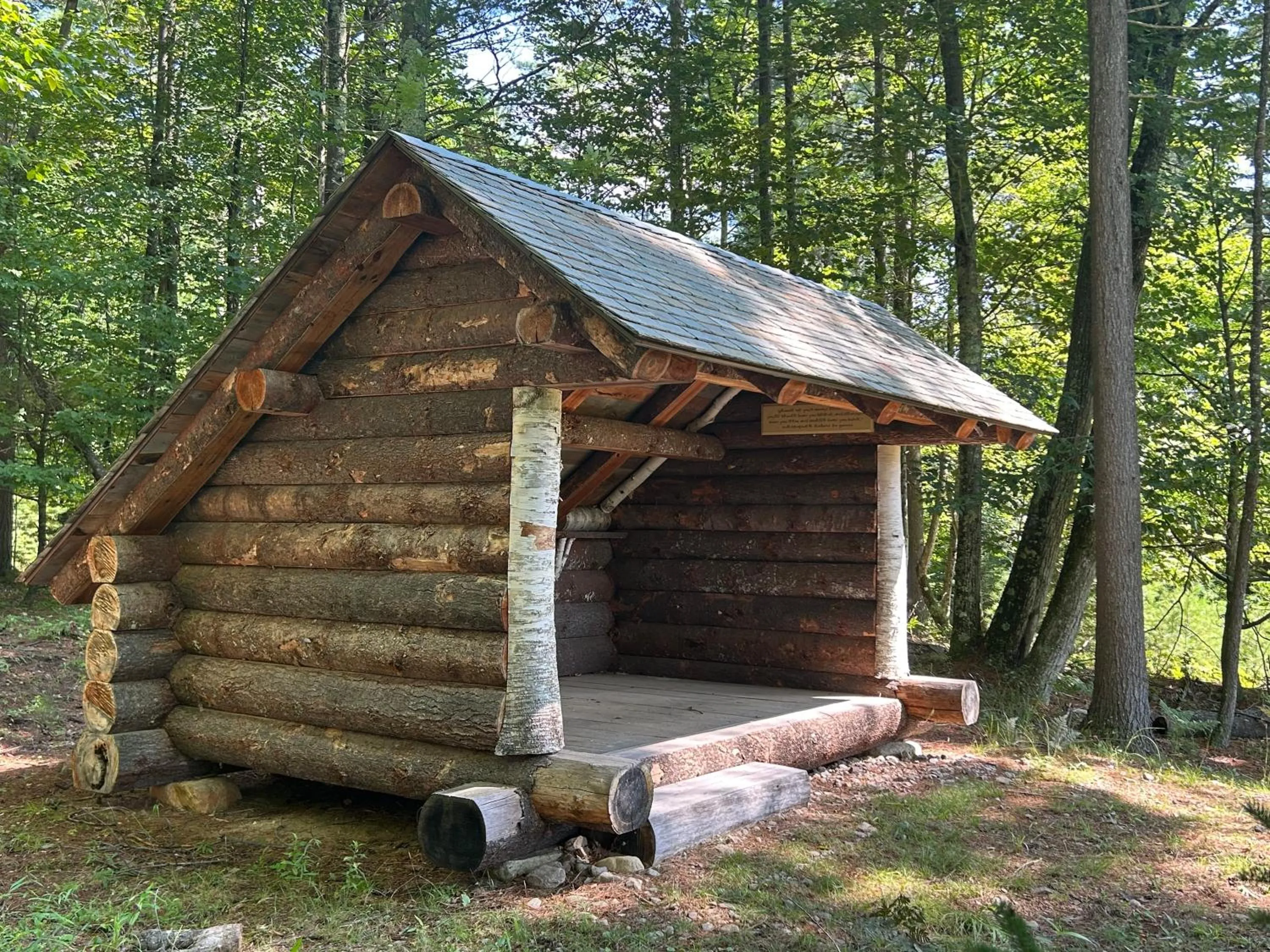 Hiking in NewVida Preserve