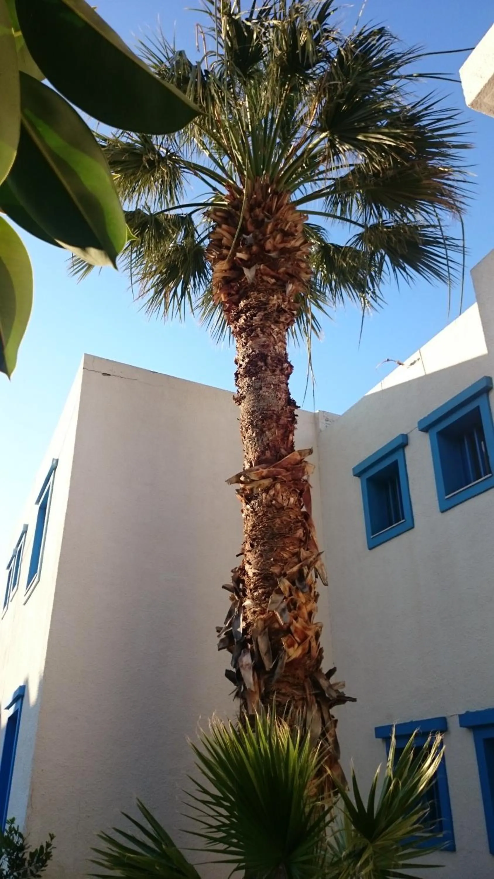 Bird's eye view in Amazones Villas Apartments