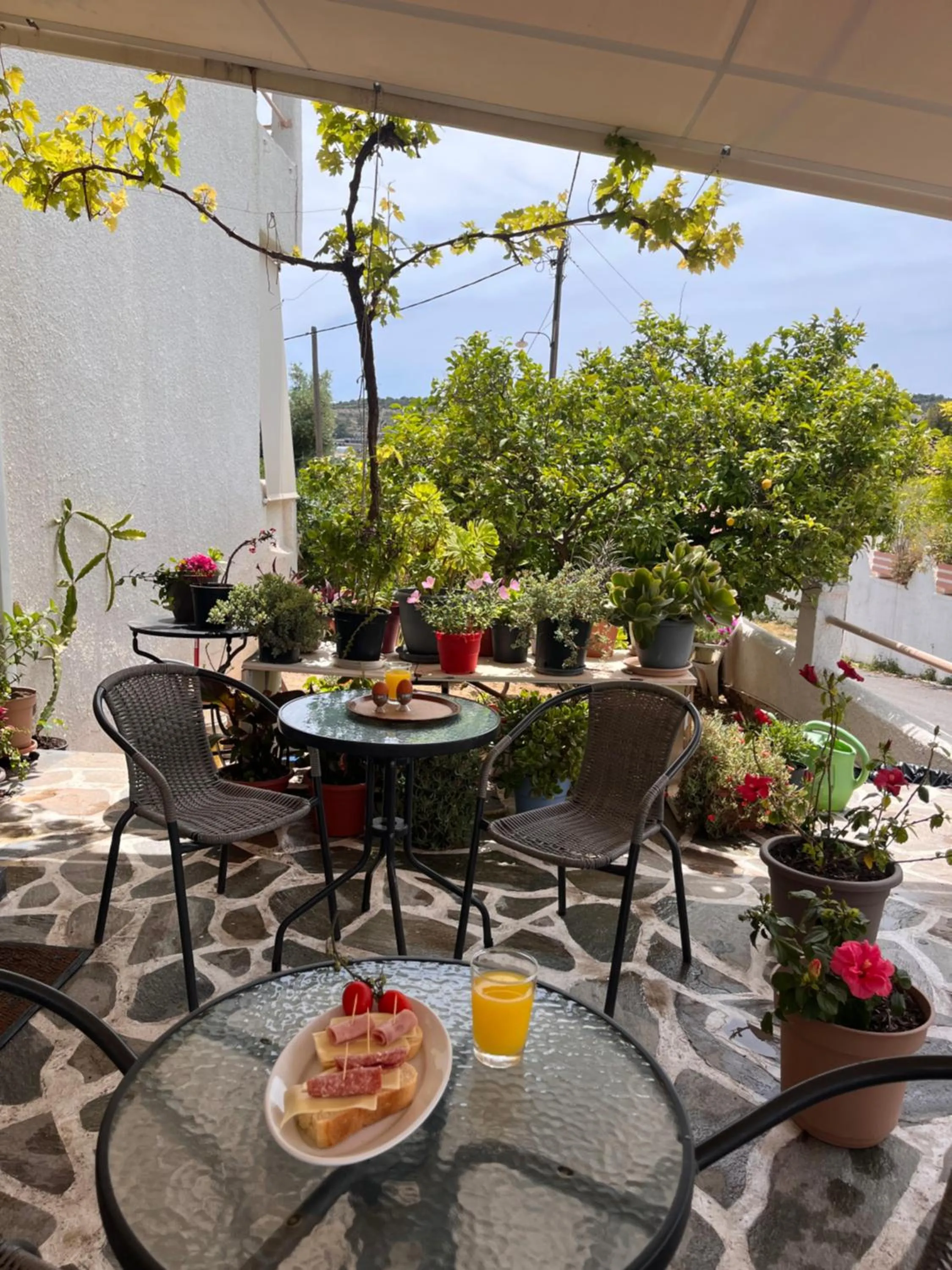 Isidora Hotel