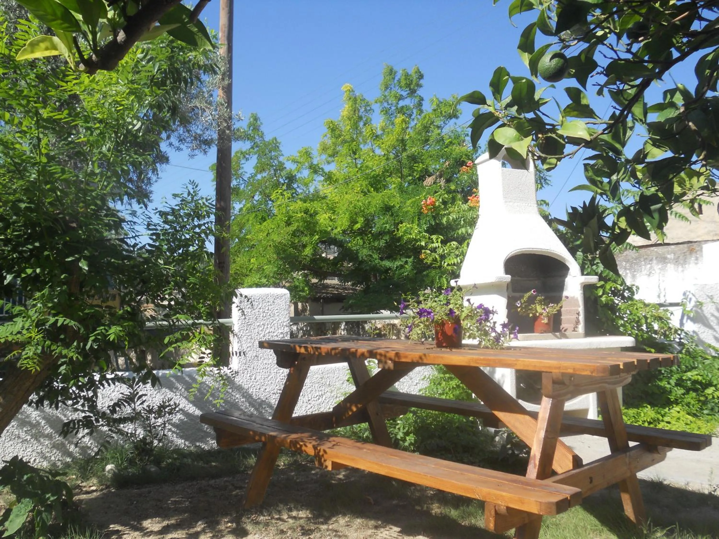 Garden in Isidora Hotel
