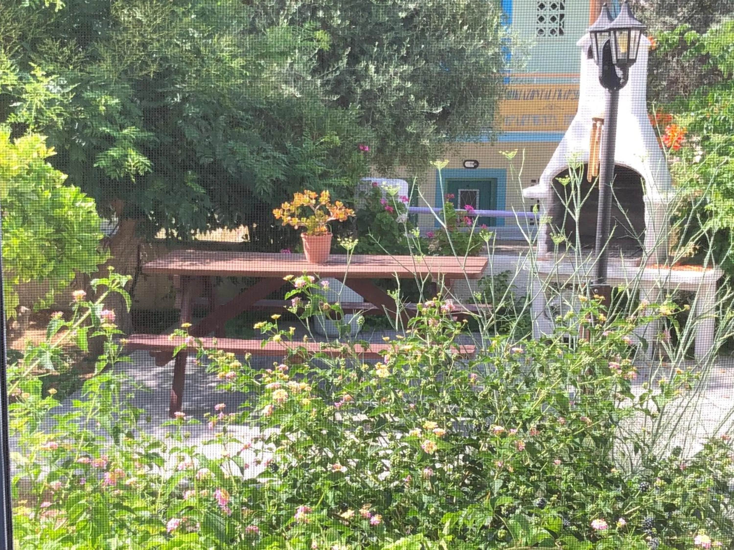 Garden in Isidora Hotel