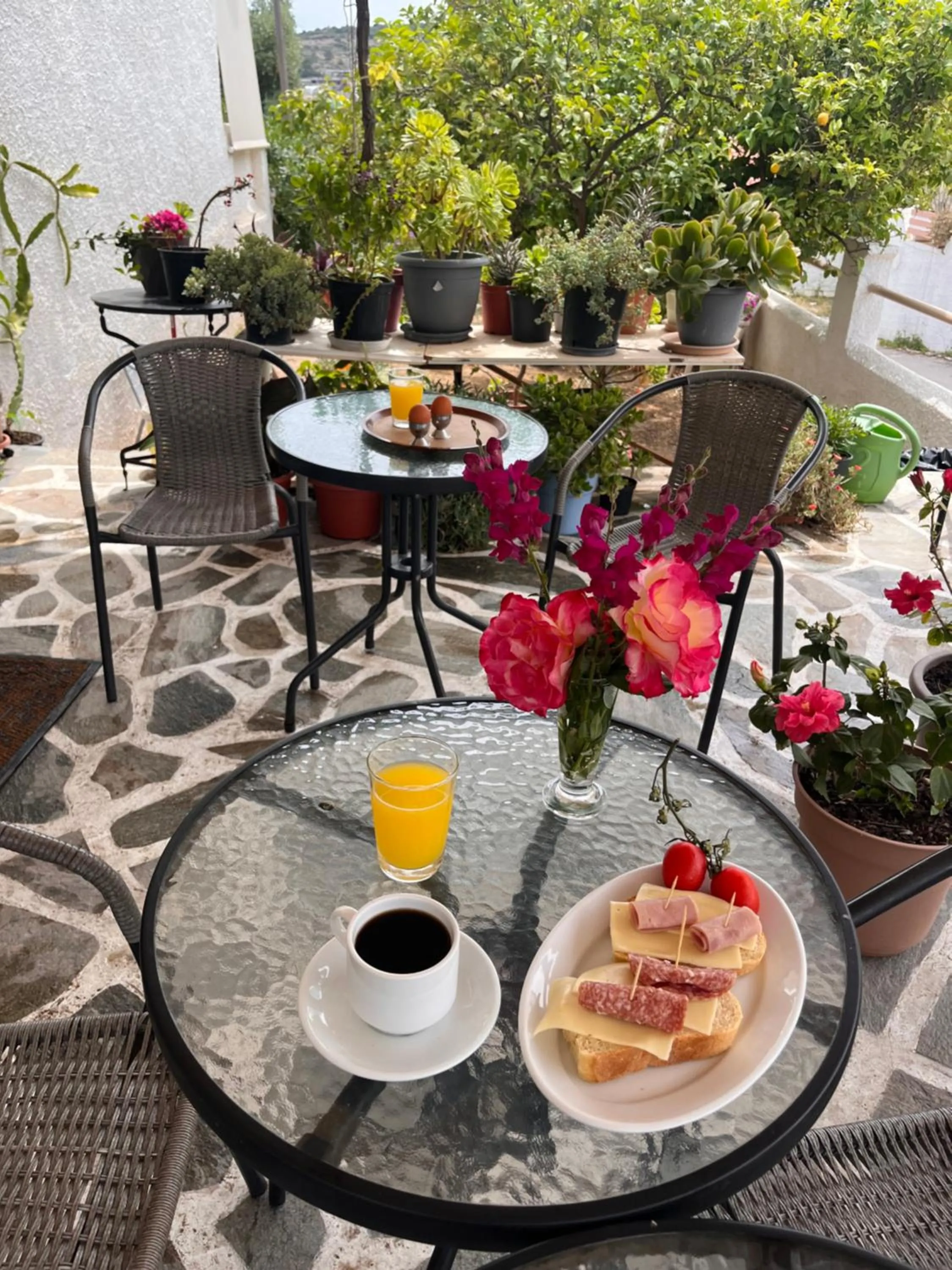 Isidora Hotel