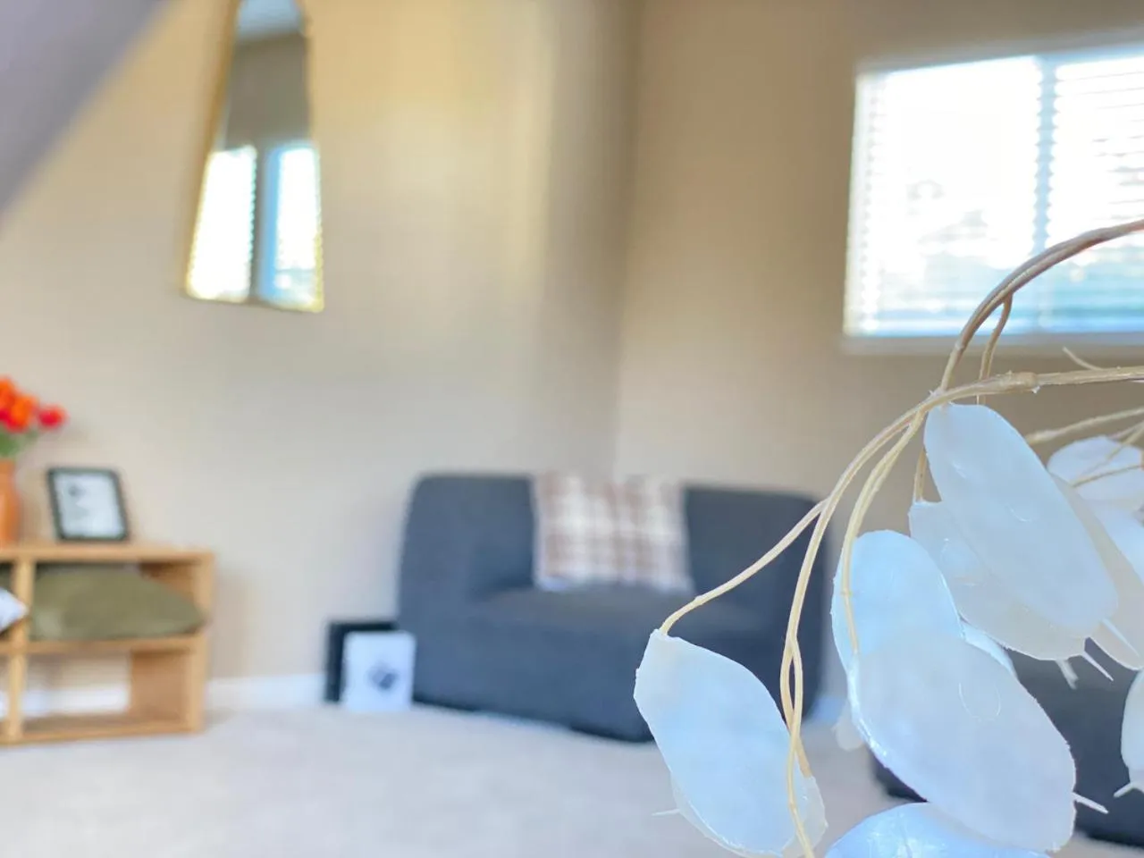 WHOLE Family - Edison