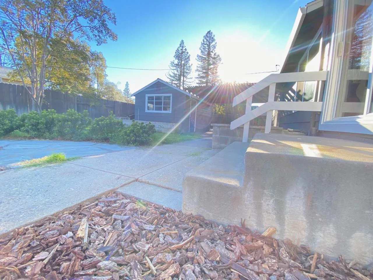 WHOLE Family - Edison