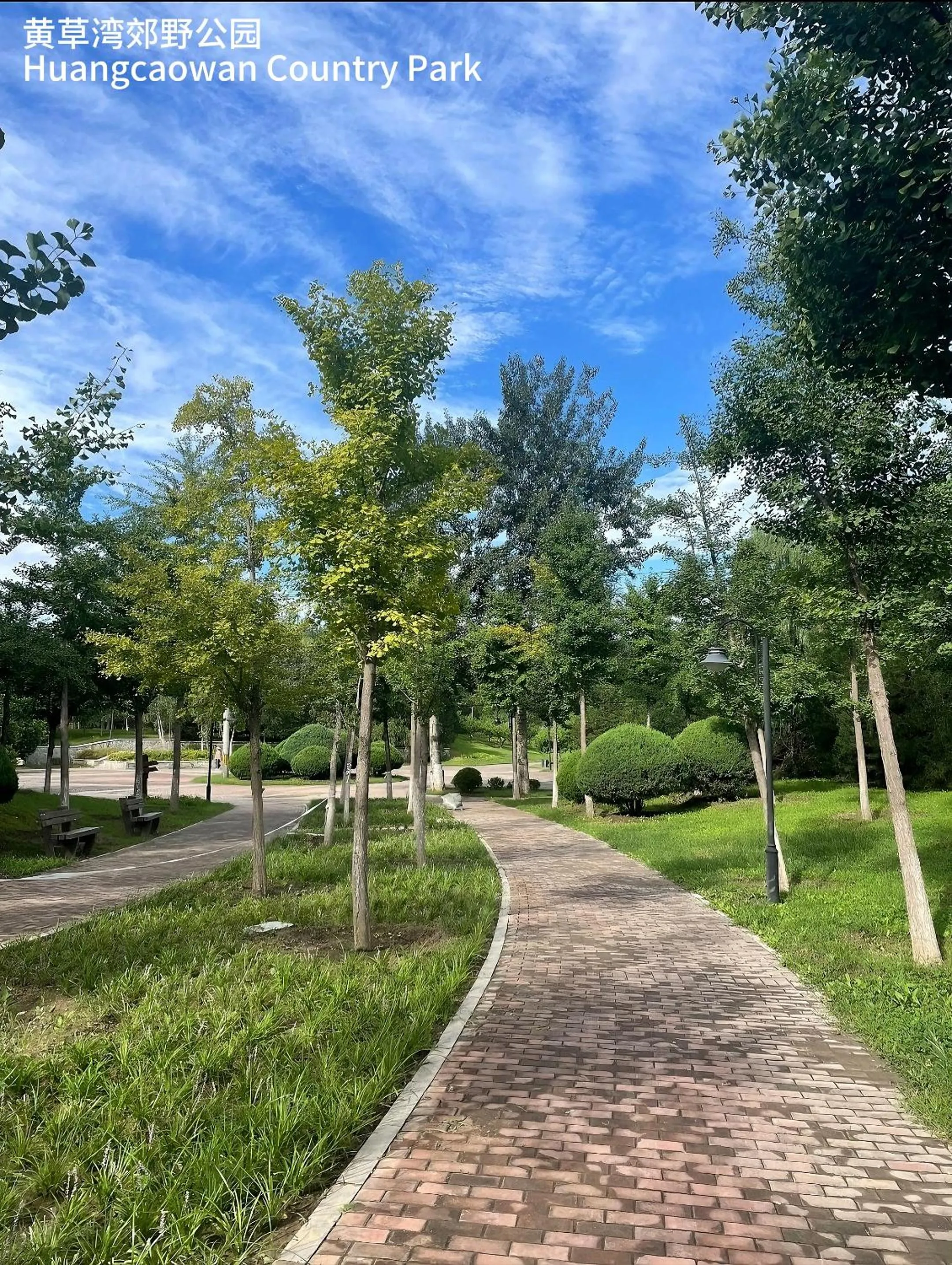 Other in Nostalgia S Hotel Beijing National Olympic Sports Center