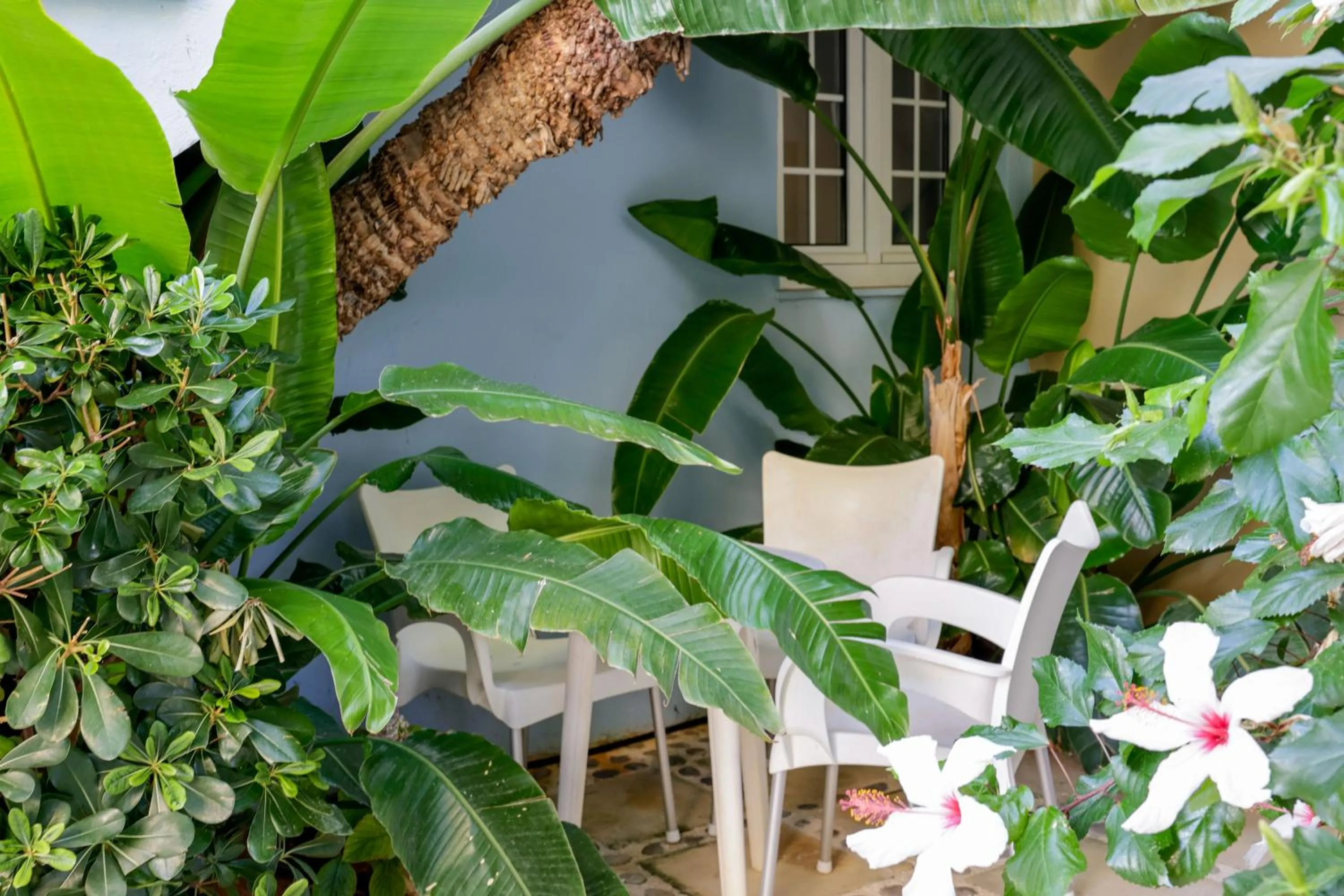 Garden in Futura Hotel