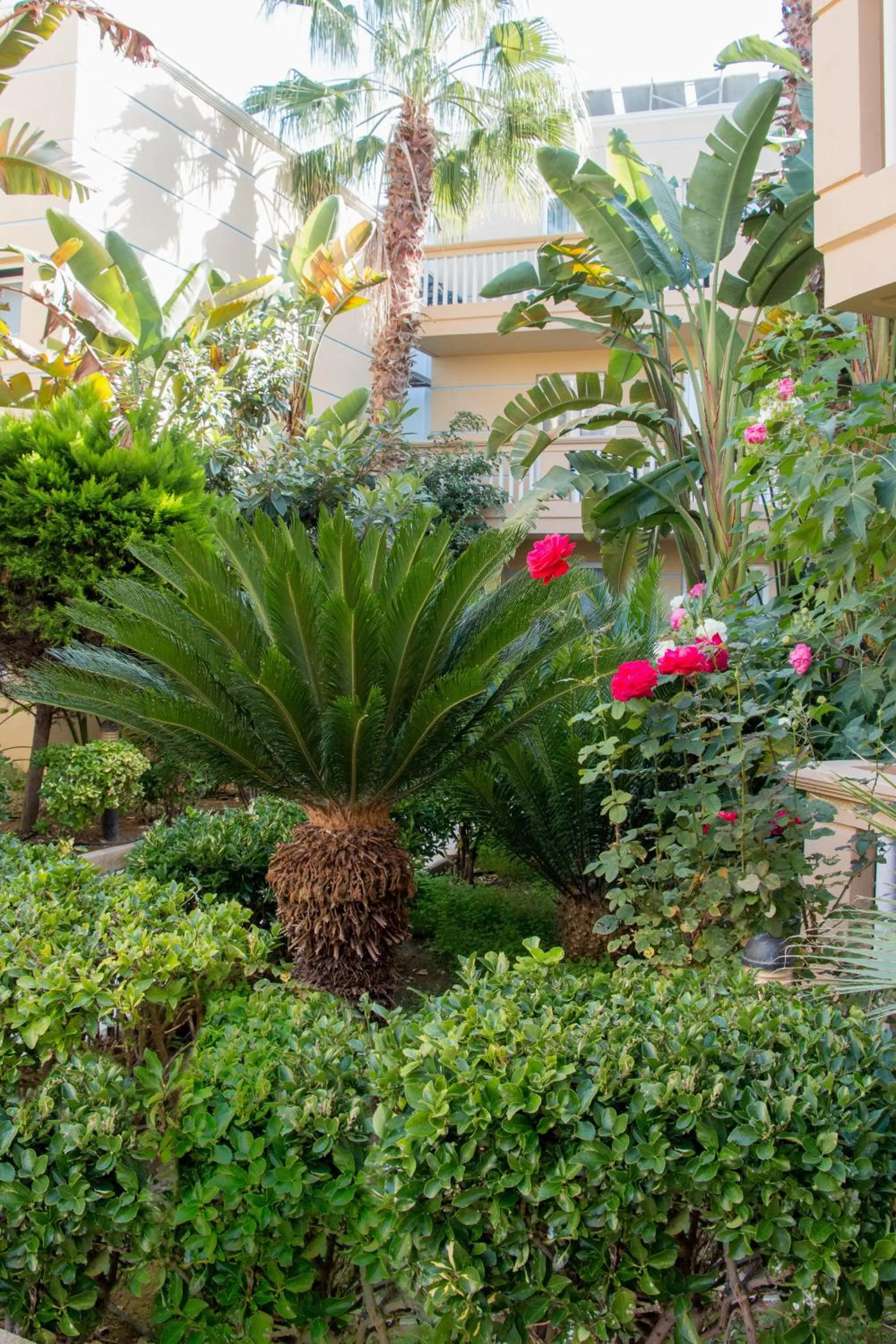 Garden in Futura Hotel