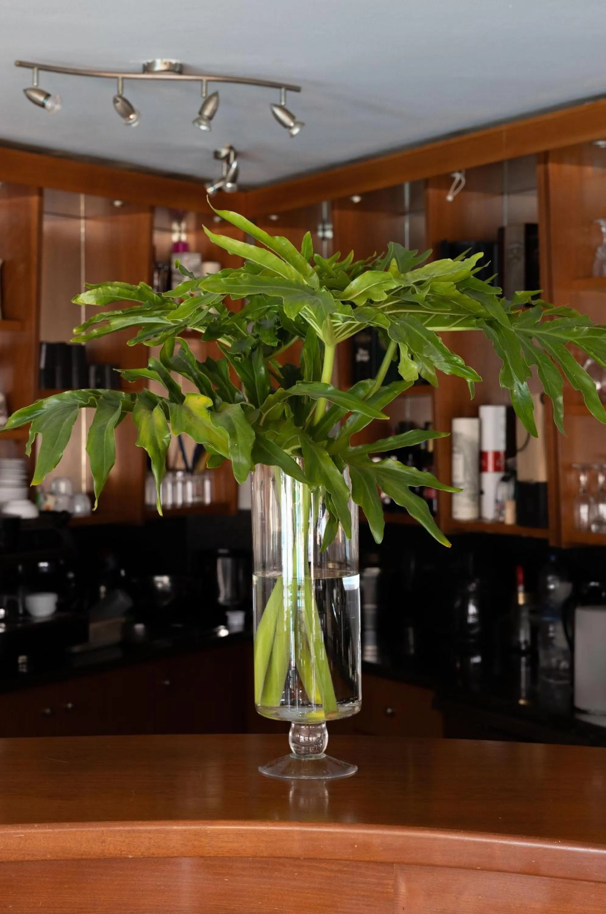 Coffee/tea facilities in Futura Hotel