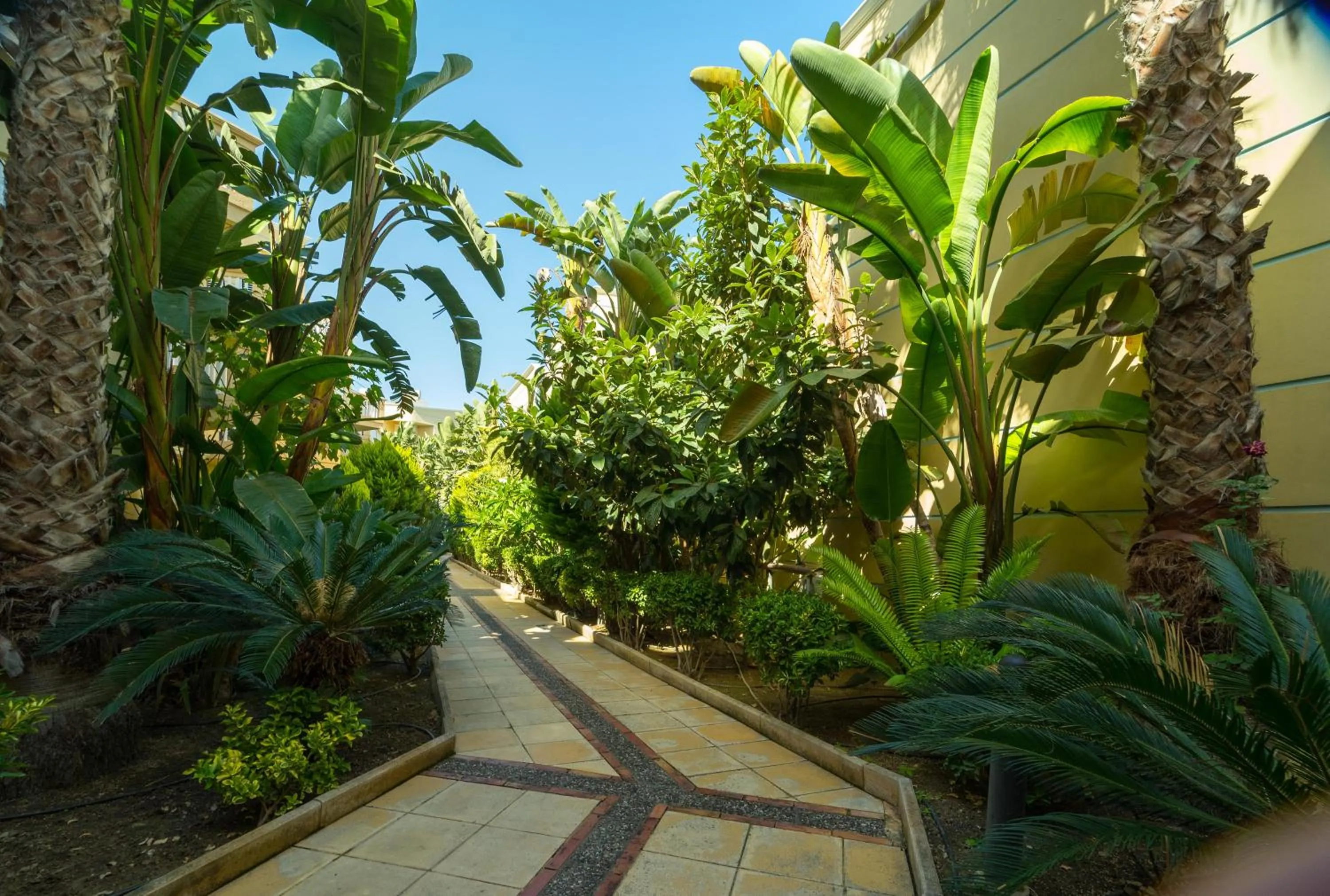 Garden in Futura Hotel