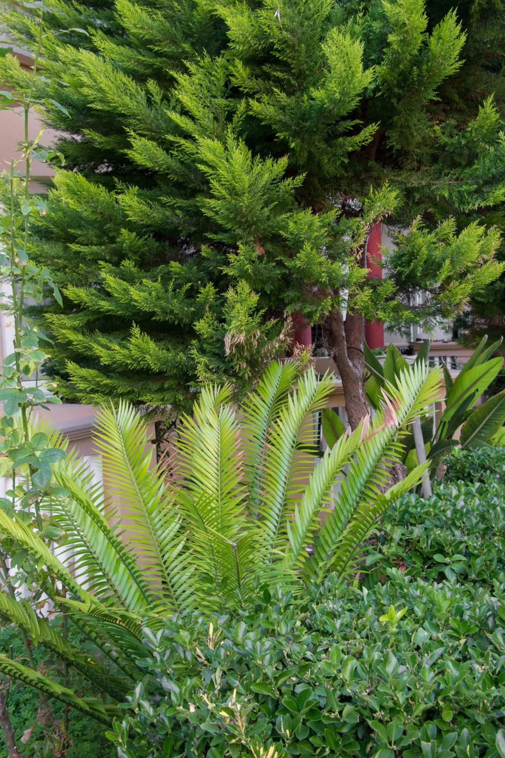 Property building in Futura Hotel