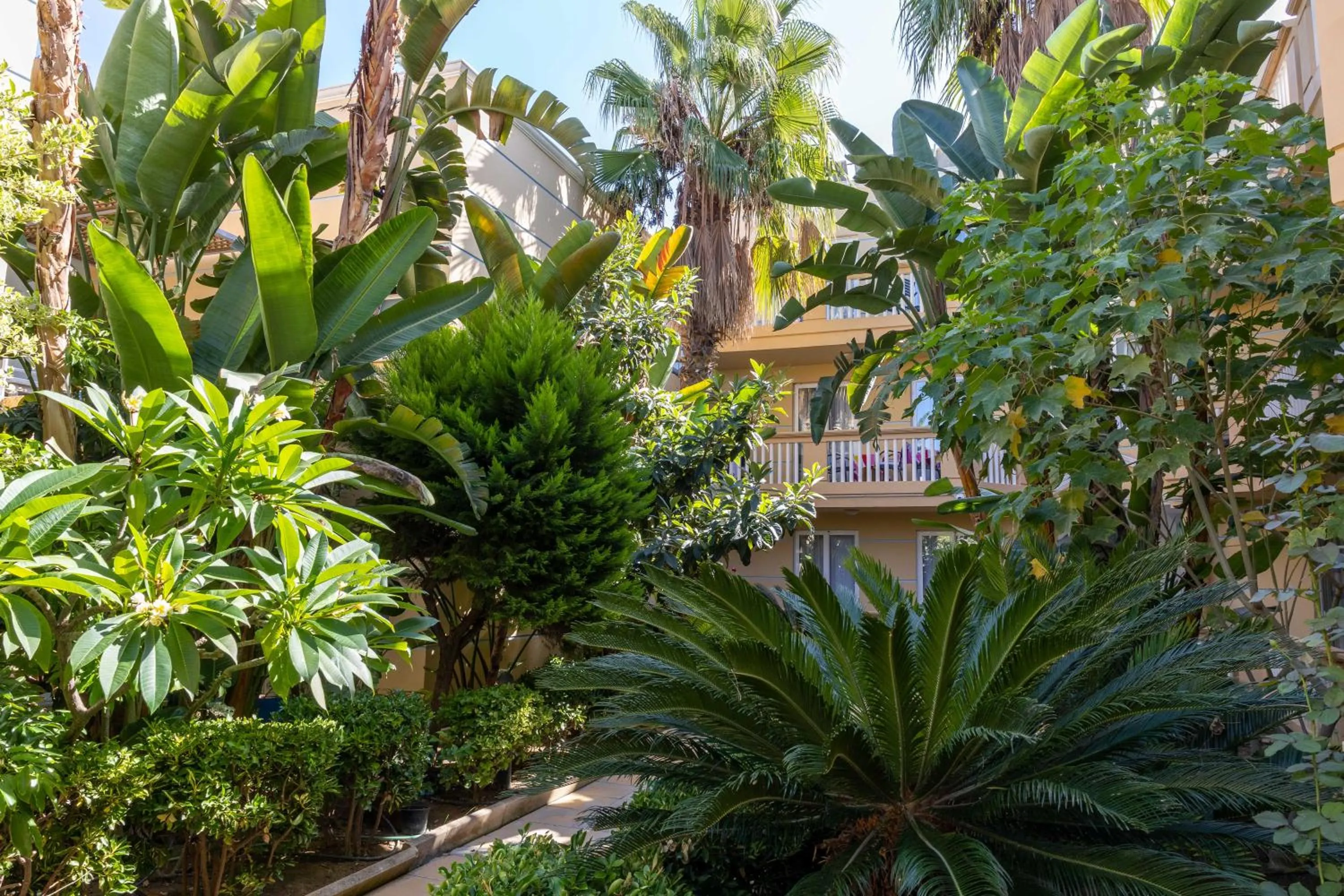 Garden view in Futura Hotel