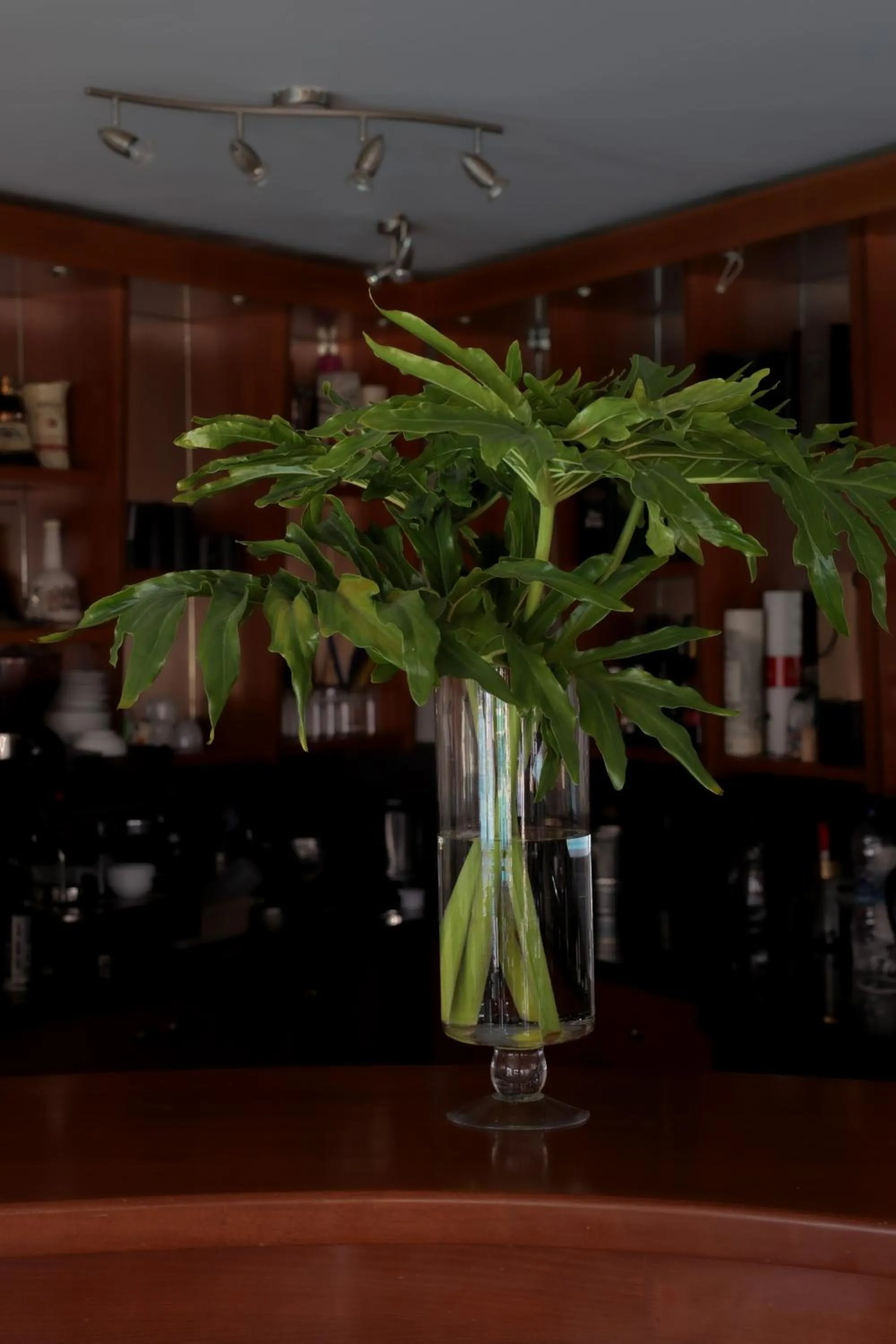 Restaurant/places to eat in Futura Hotel