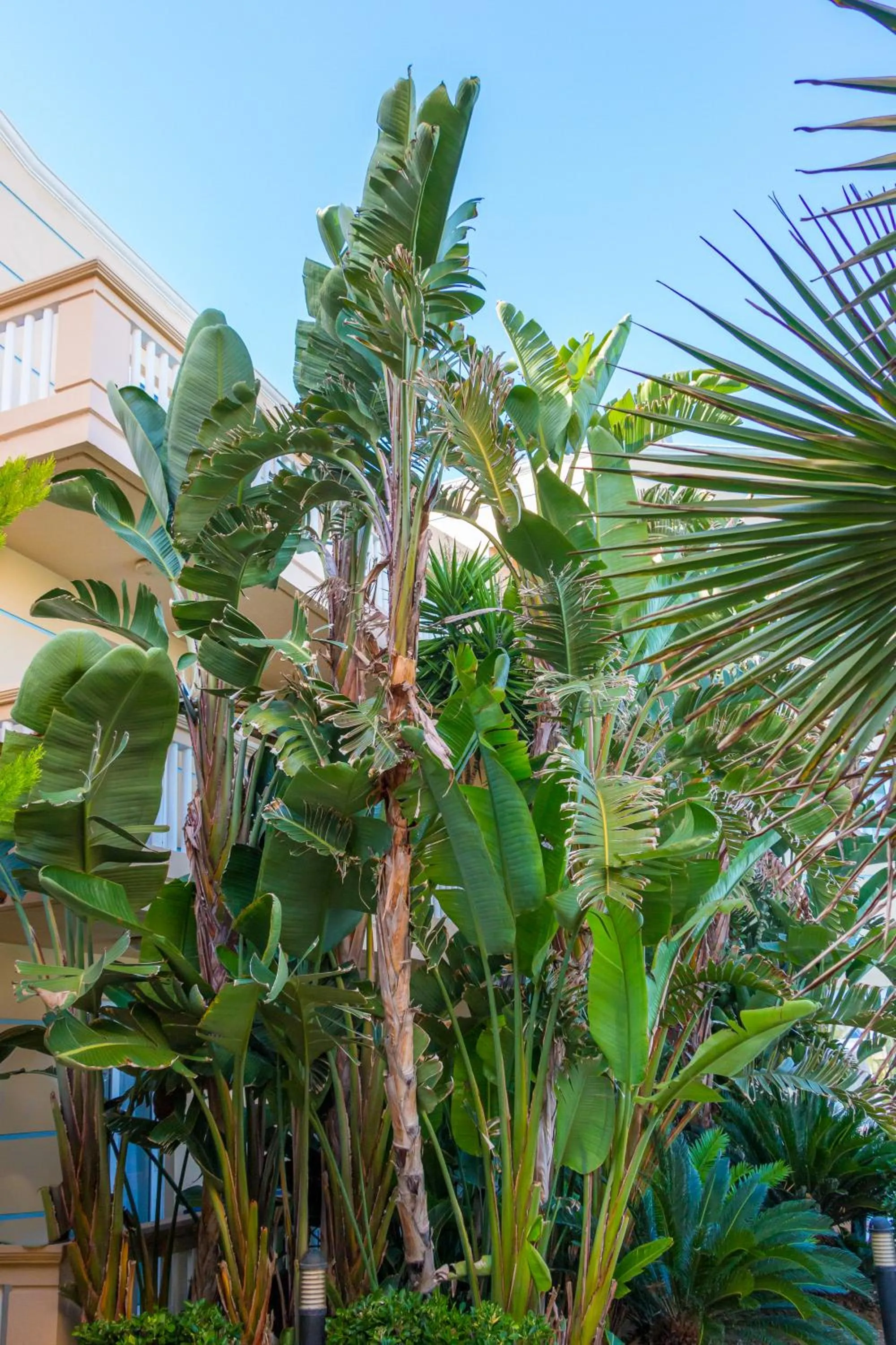 Natural landscape in Futura Hotel