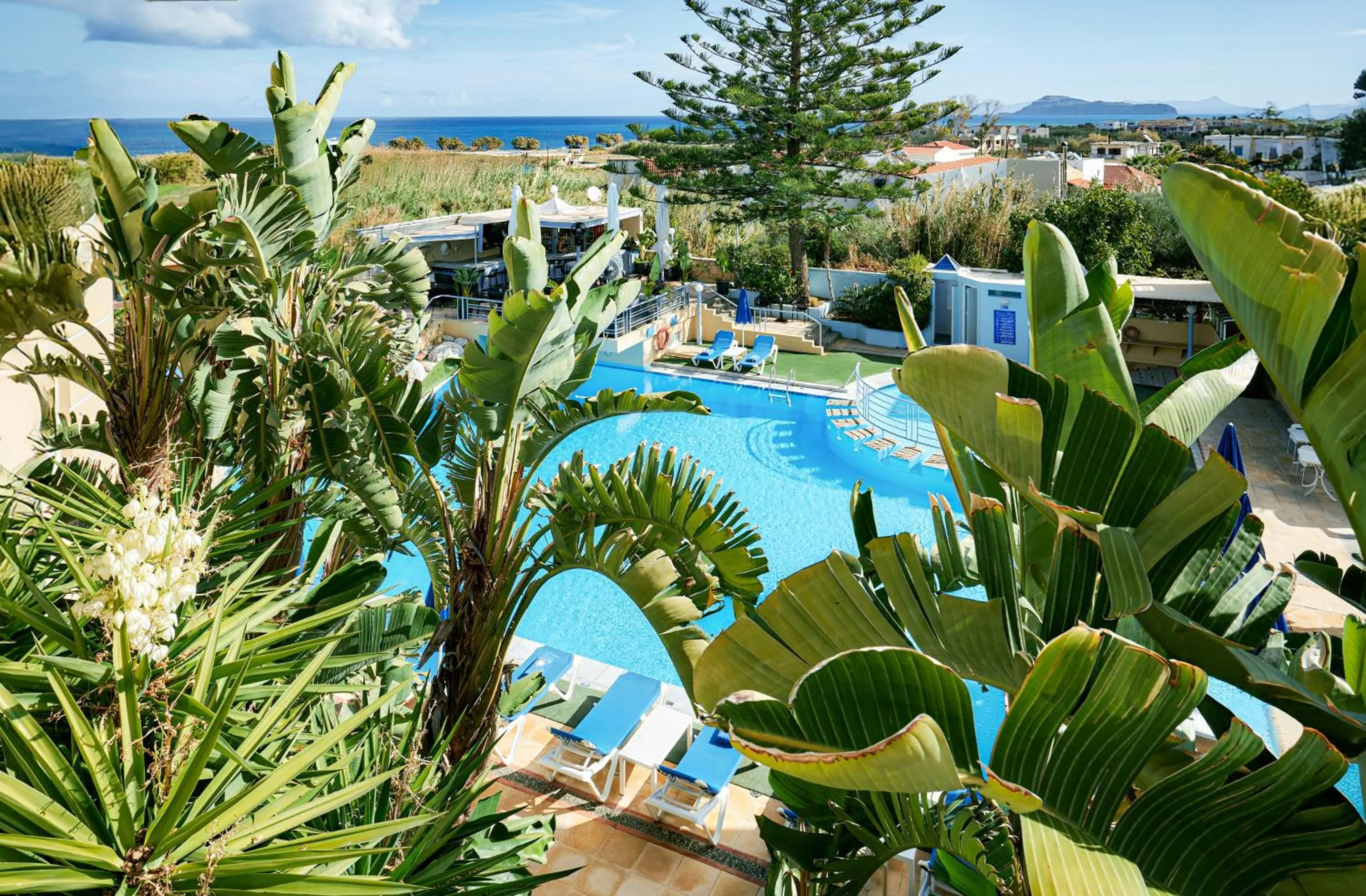 Pool view in Futura Hotel