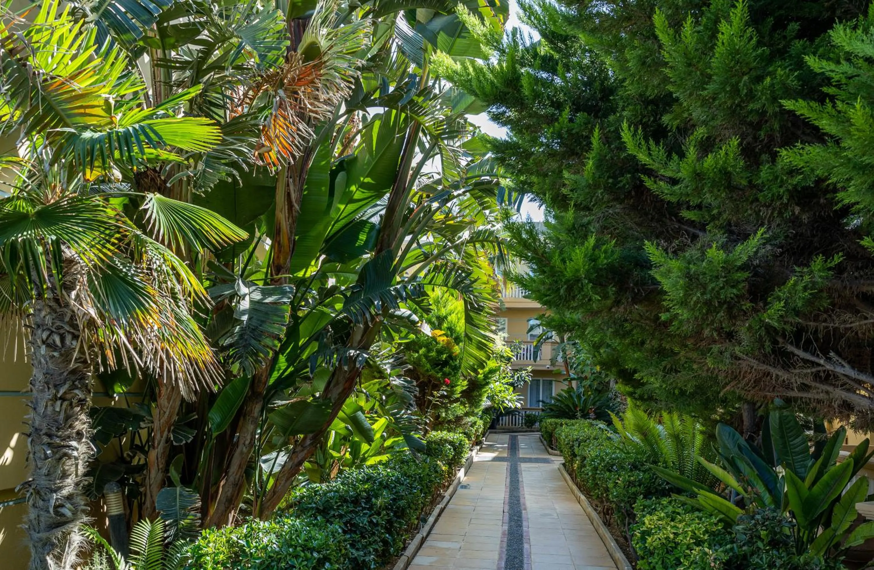 Garden in Futura Hotel