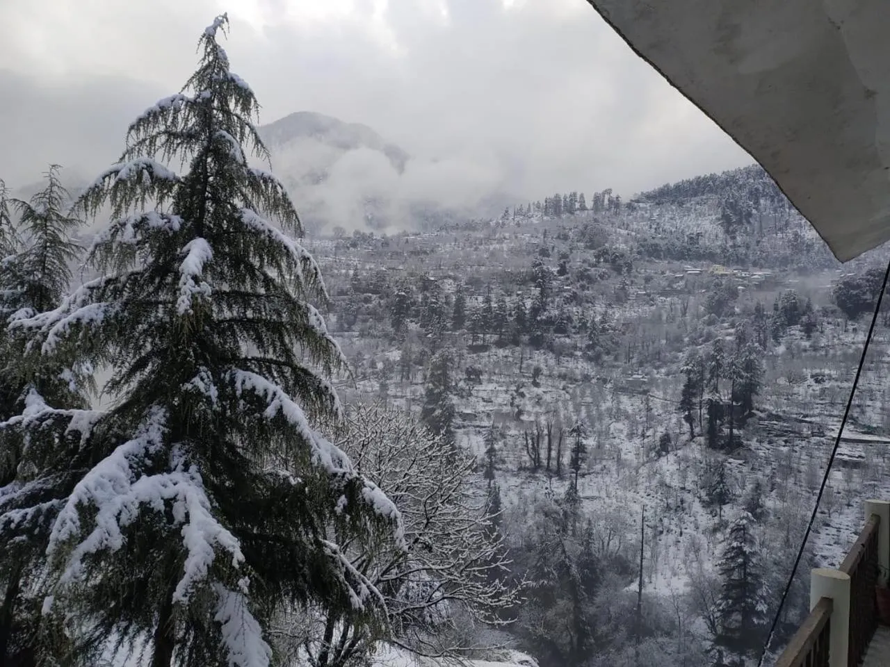 View (from property/room) in Kasol Hostel