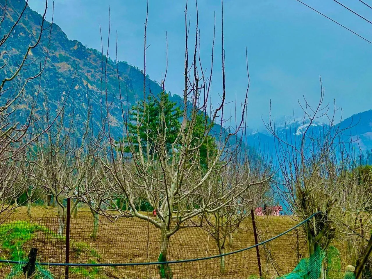 View (from property/room) in Kasol Hostel
