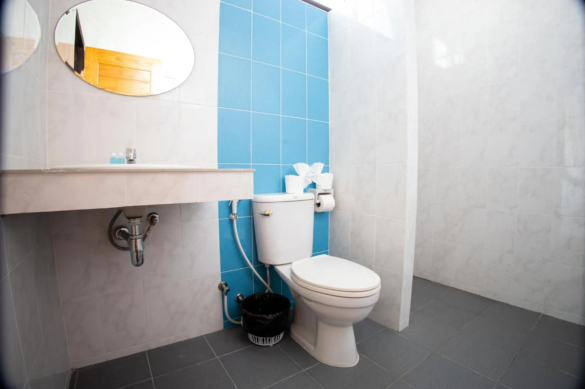 Shower in Grand View Premium