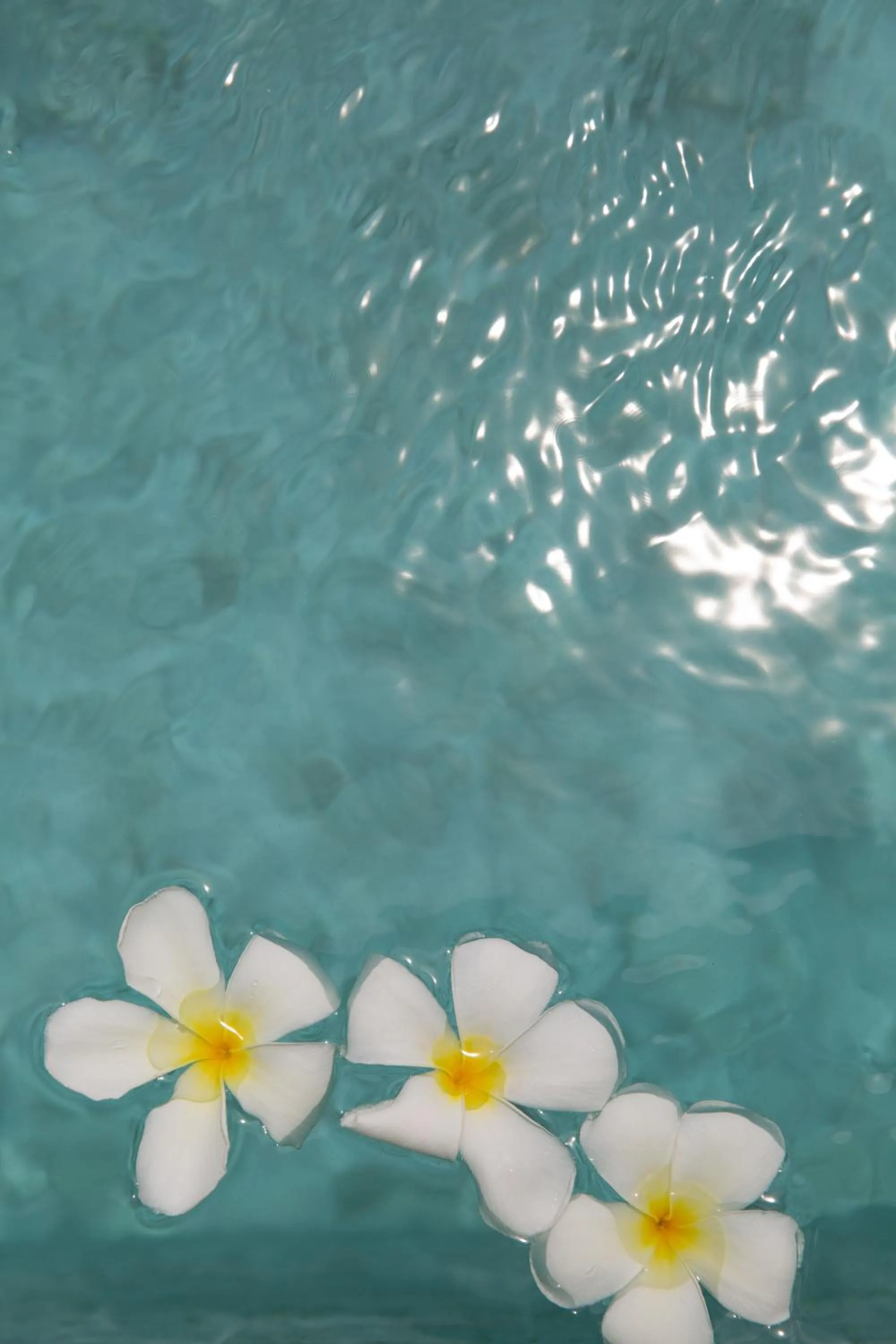 Pool view in Zog Villas