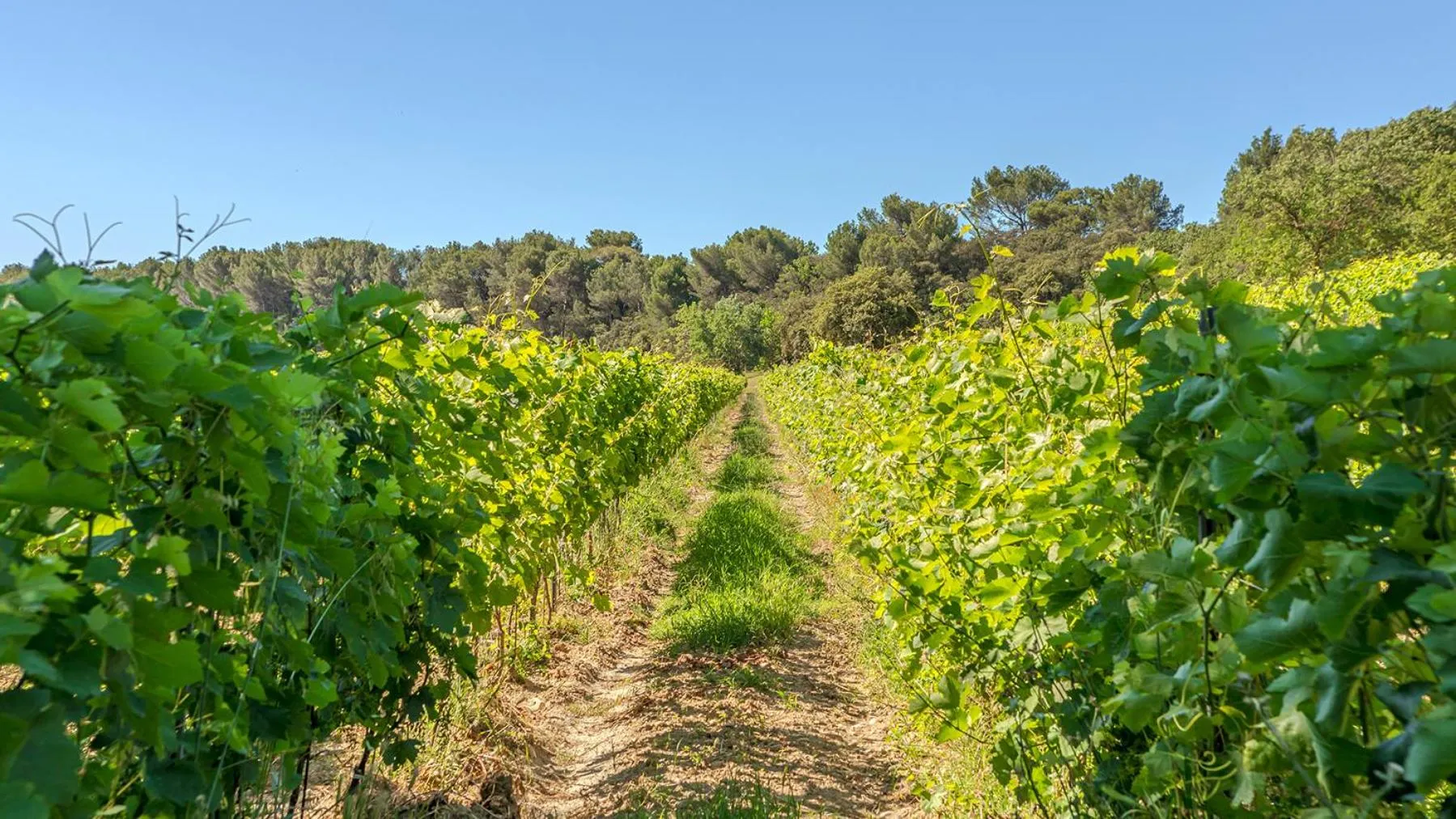 Other in Chateau Talaud