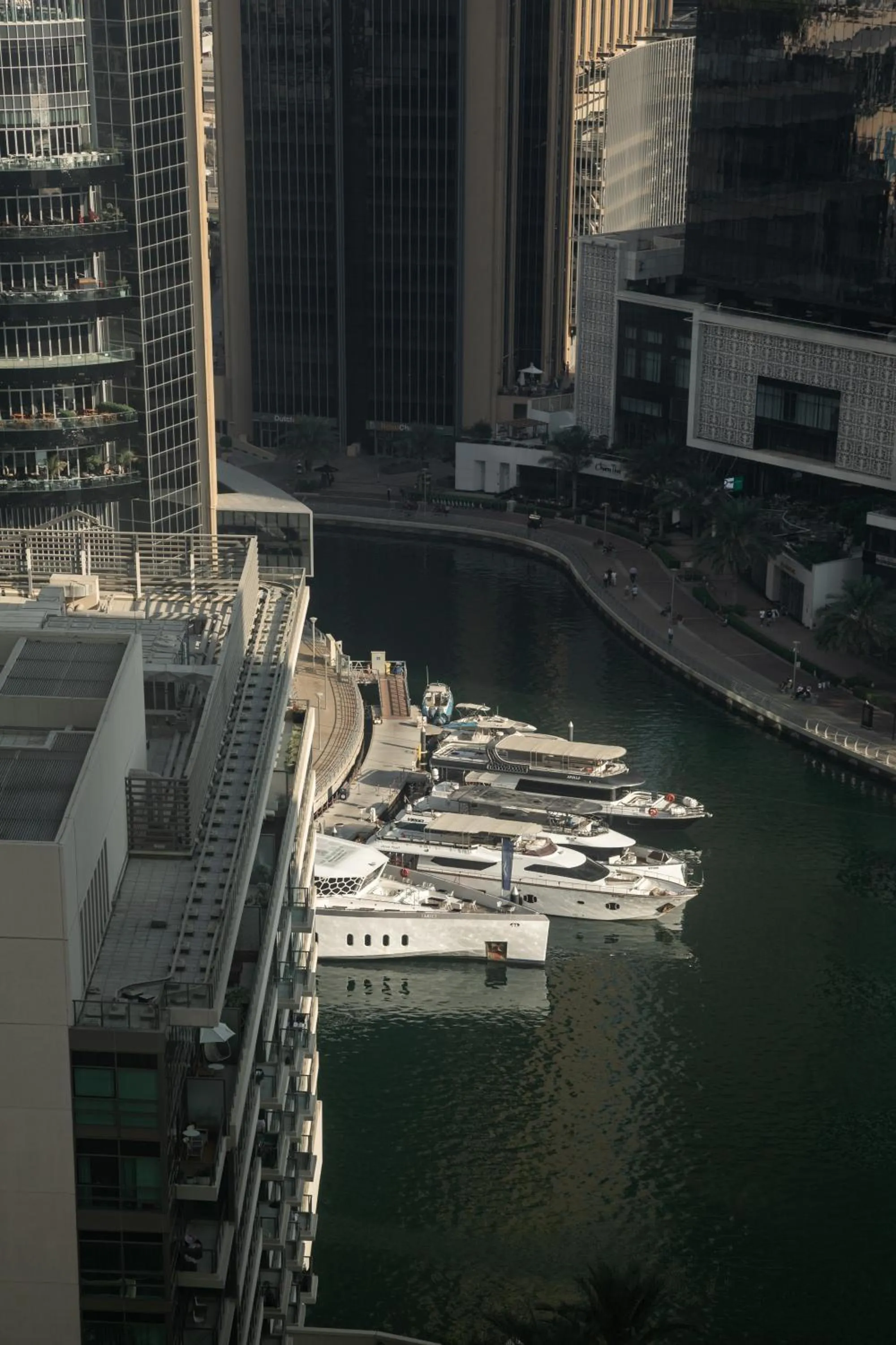 Day in Happy ACADEMIA JBR