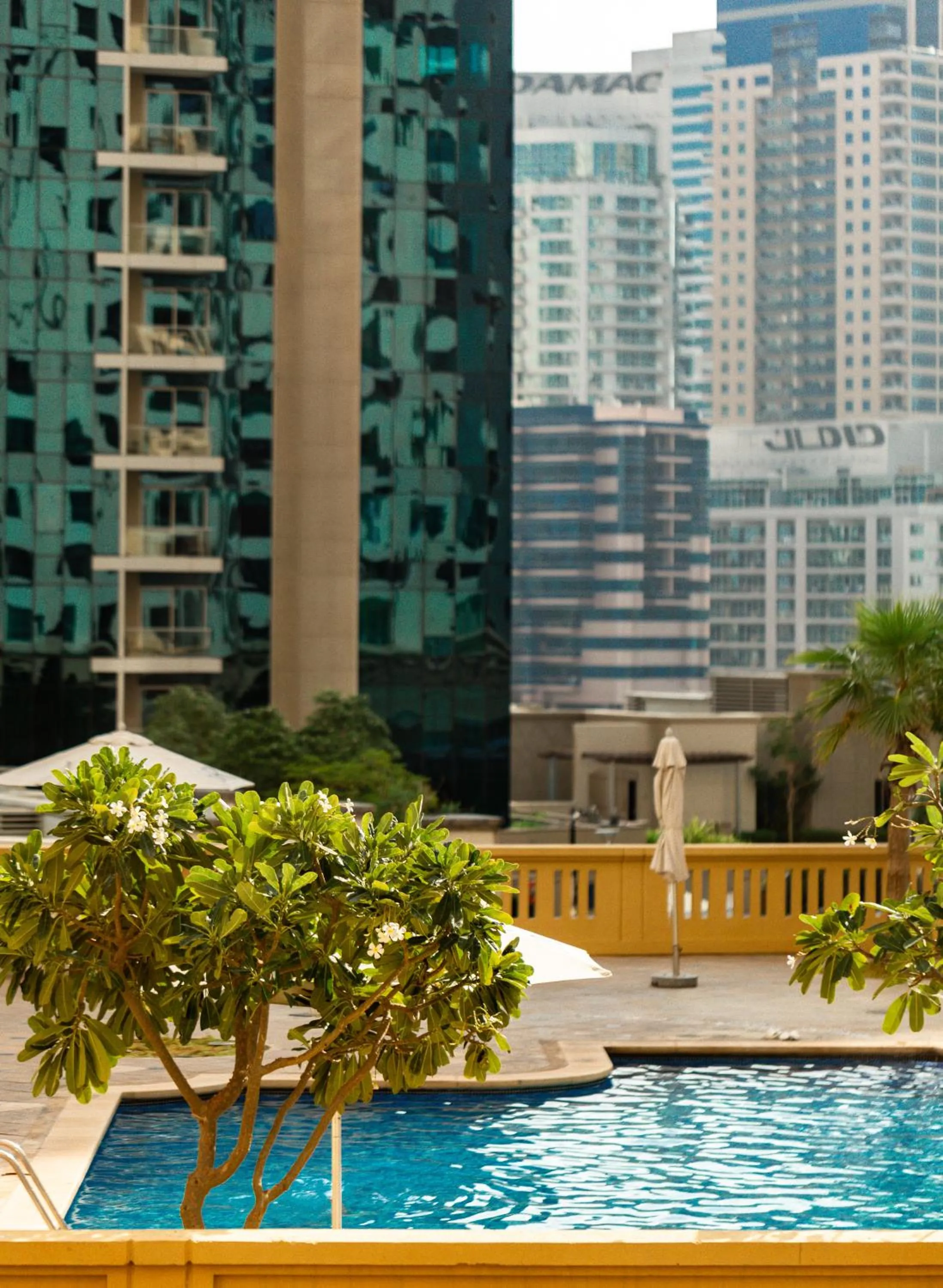 Day in Happy ACADEMIA JBR