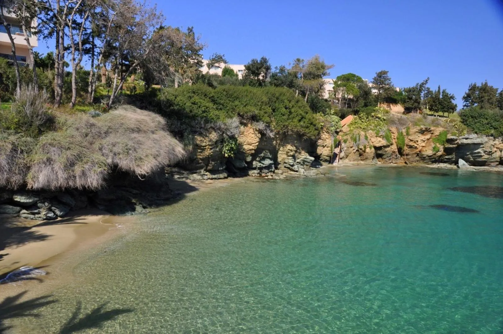 Off site in Renia Studios