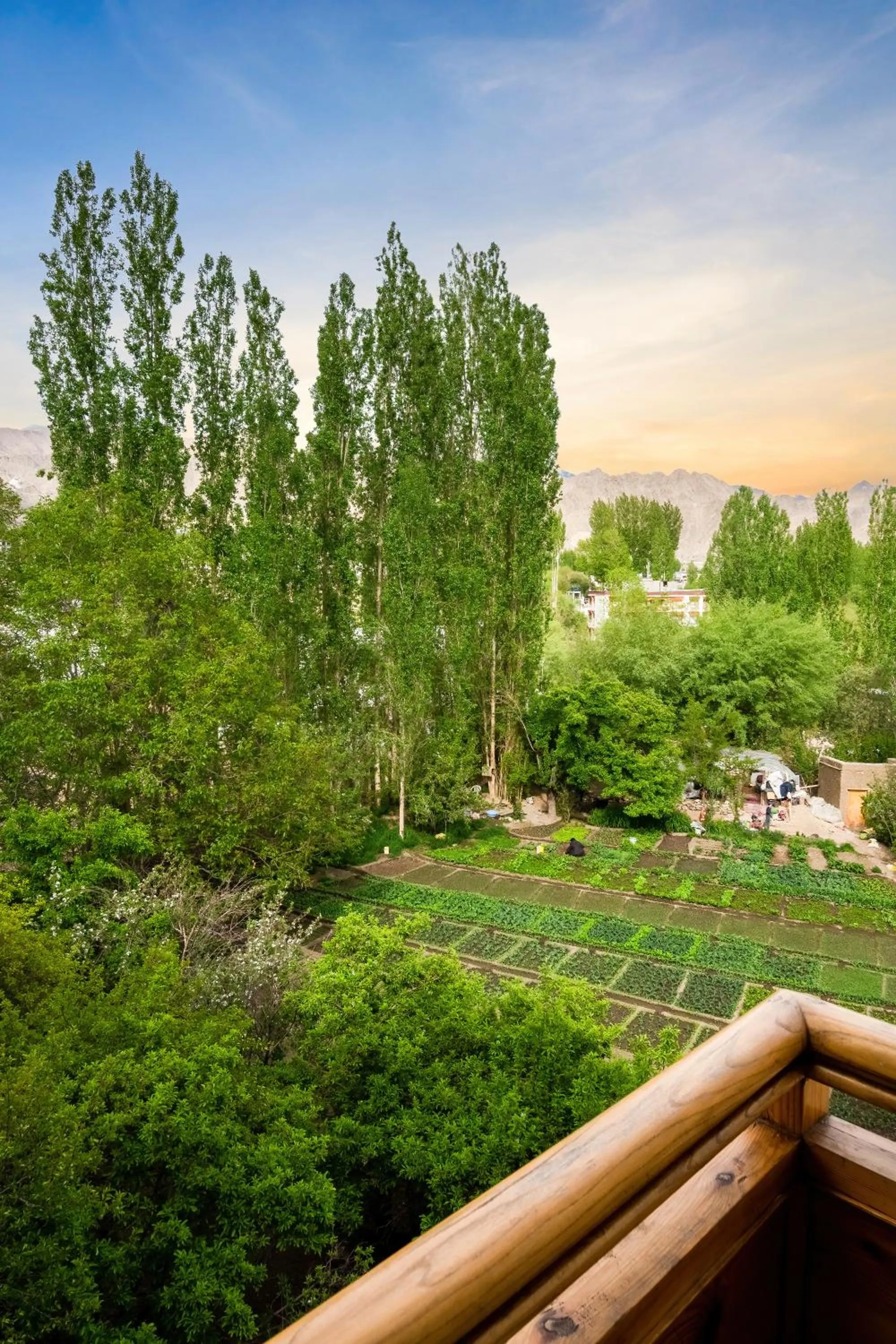Balcony/Terrace in Hotel Gyalpo Residency - A Mountain View Luxury Hotel in Leh