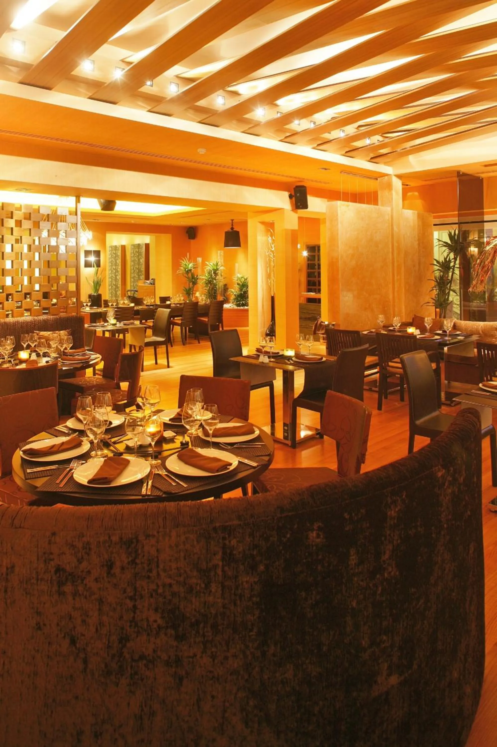 Restaurant/places to eat in Theoxenia House Hotel