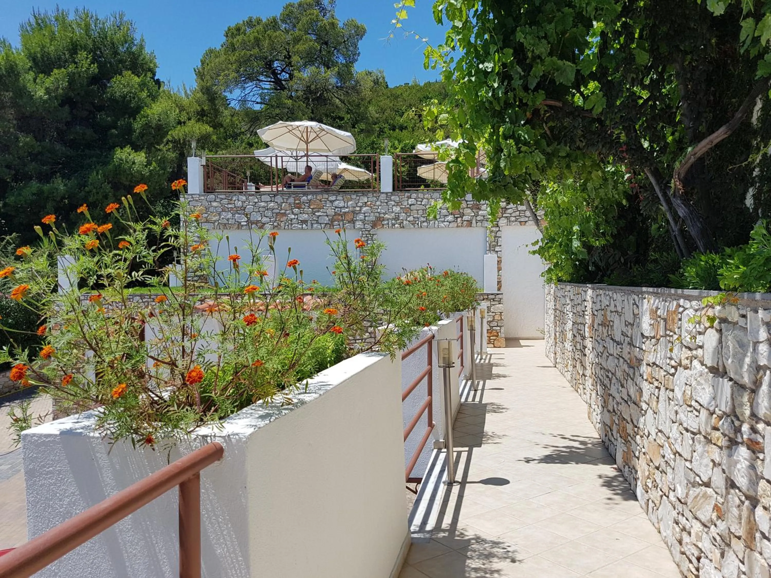 Natural landscape in Magic Hotel