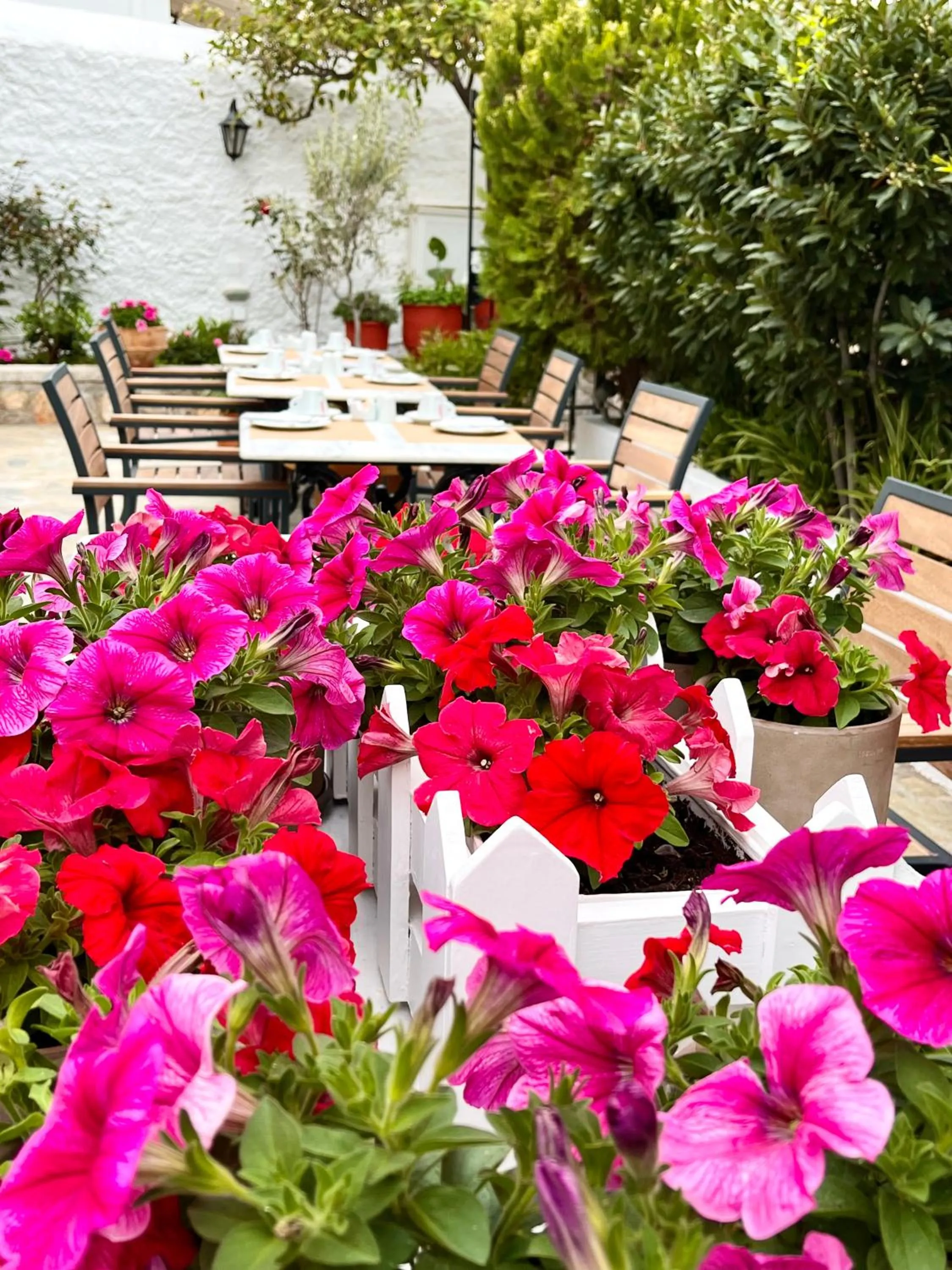 Garden view in Mistral Hotel