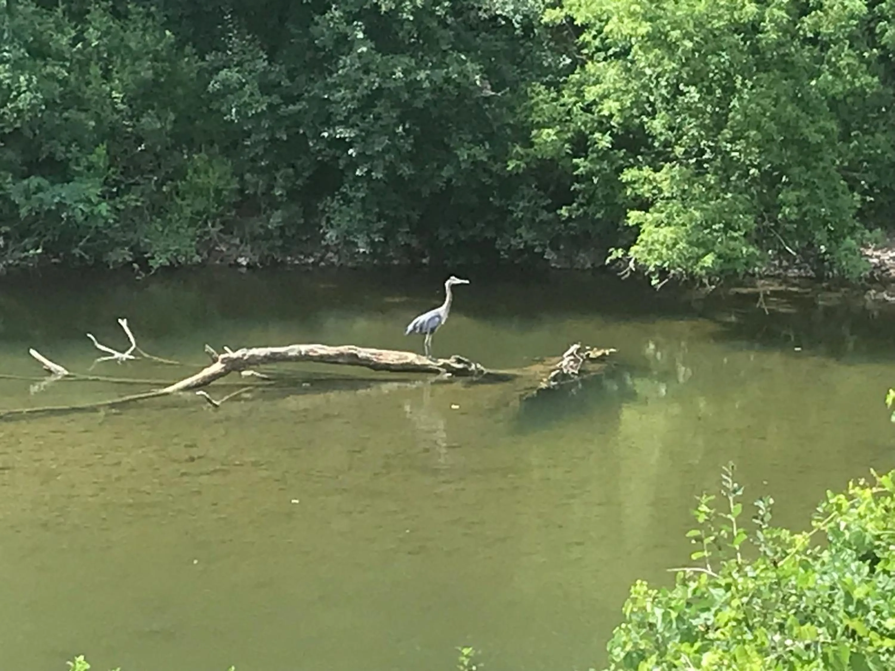 Cozy Luxury on the Thames in Ontario!