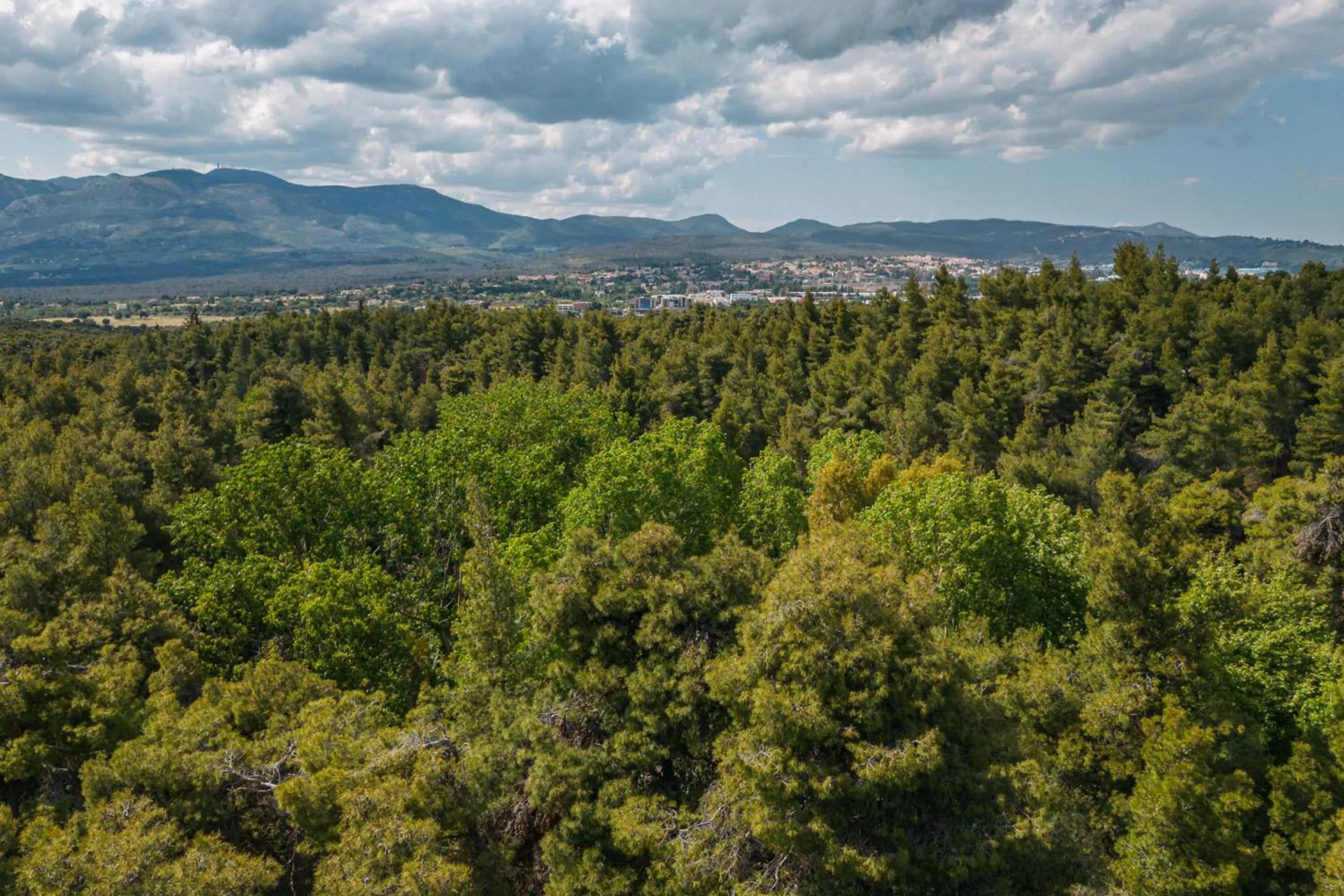 View (from property/room) in Life Gallery Athens