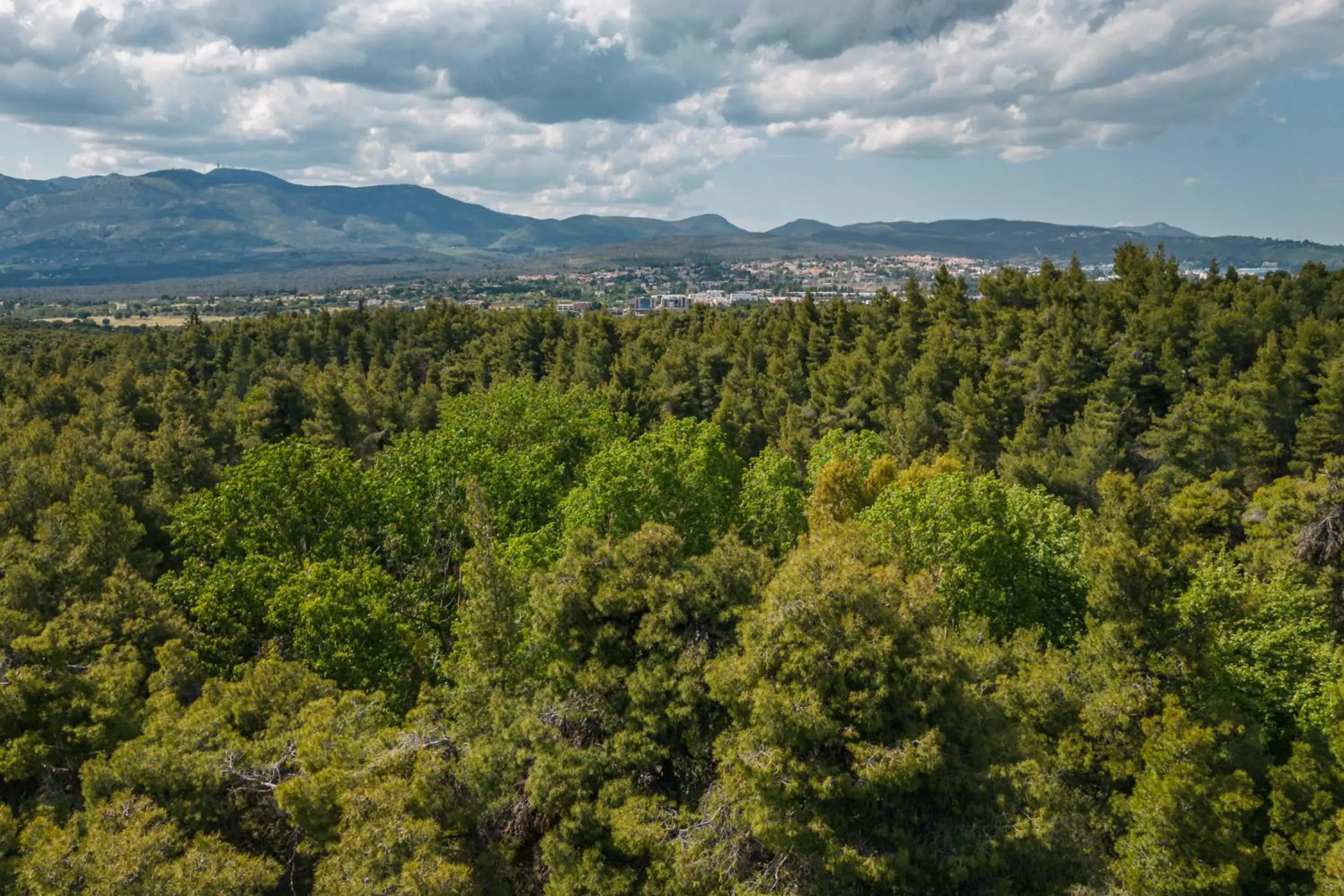 View (from property/room) in Life Gallery Athens View (from property/room) in Life Gallery Athens