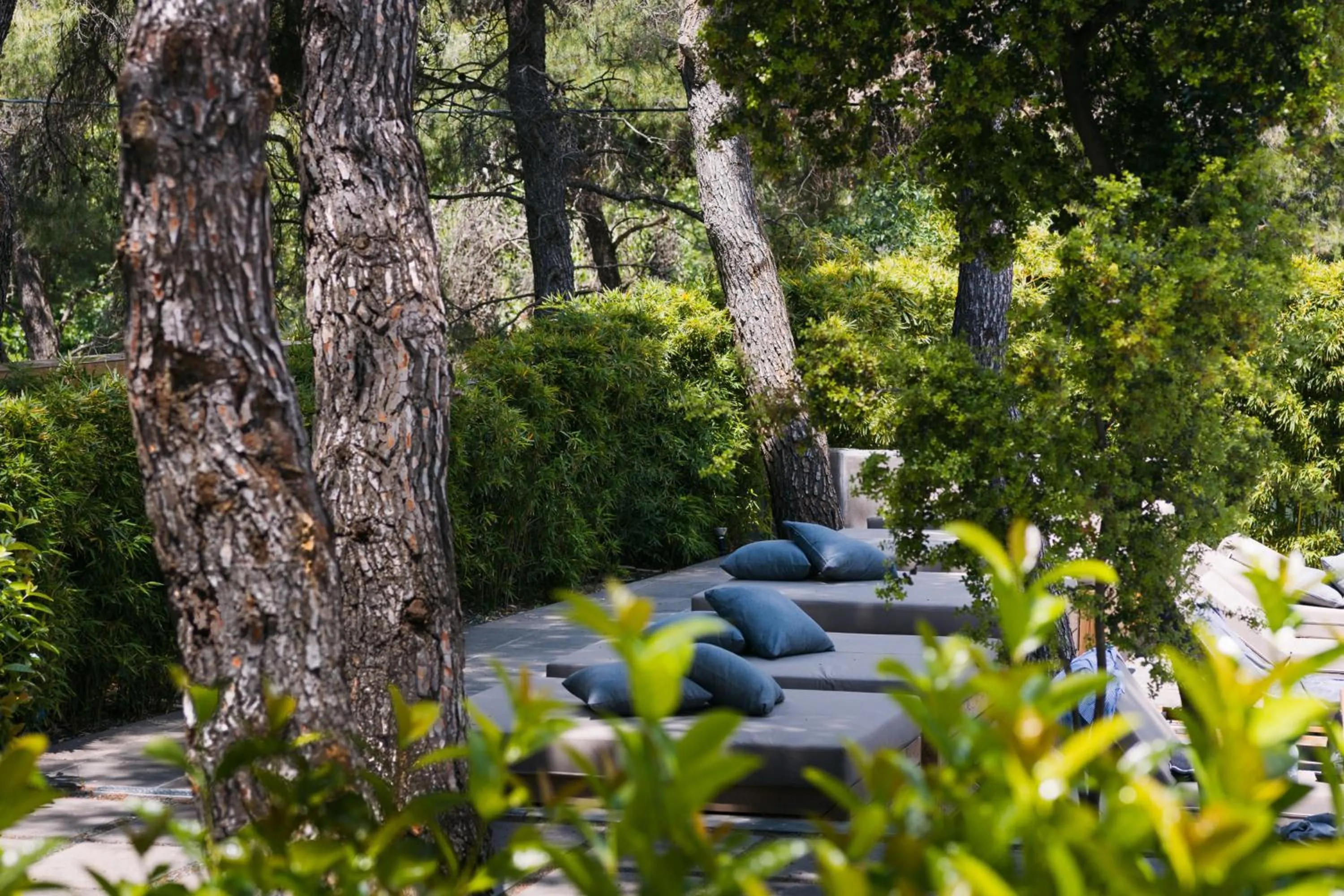 Swimming pool in Life Gallery Athens