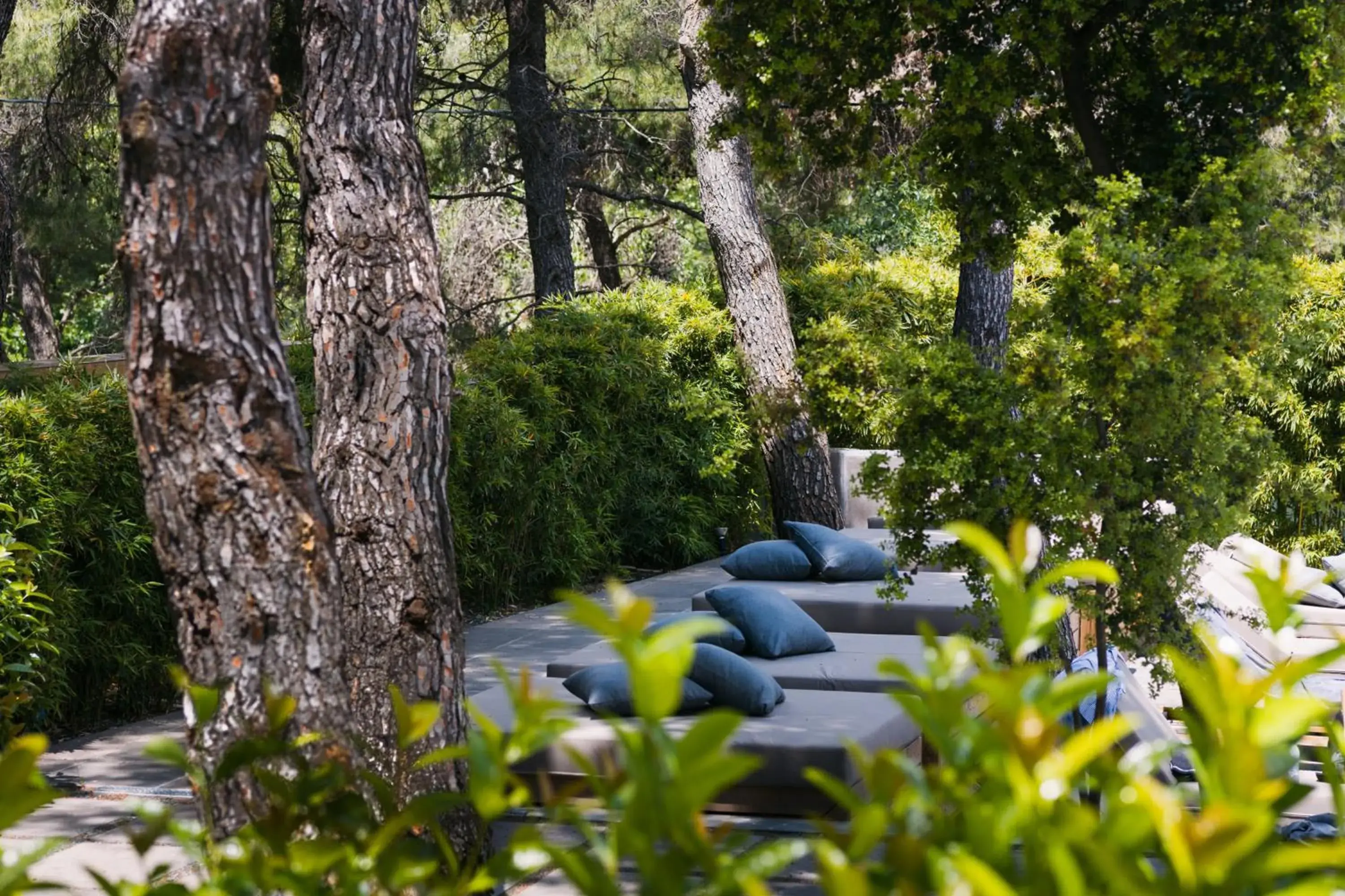 Swimming pool in Life Gallery Athens Swimming pool in Life Gallery Athens