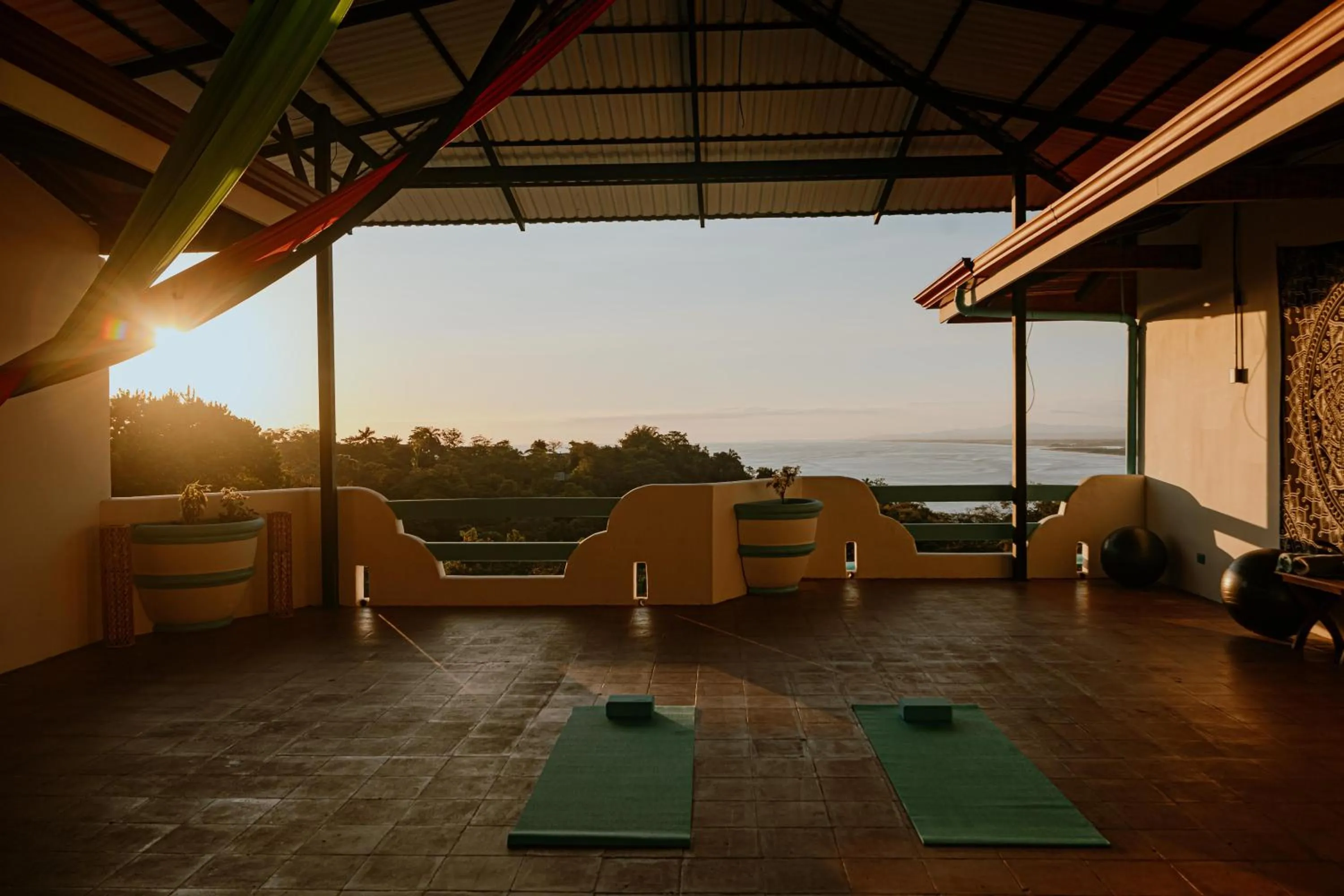 Balcony/Terrace in Hotel Planeta Sano