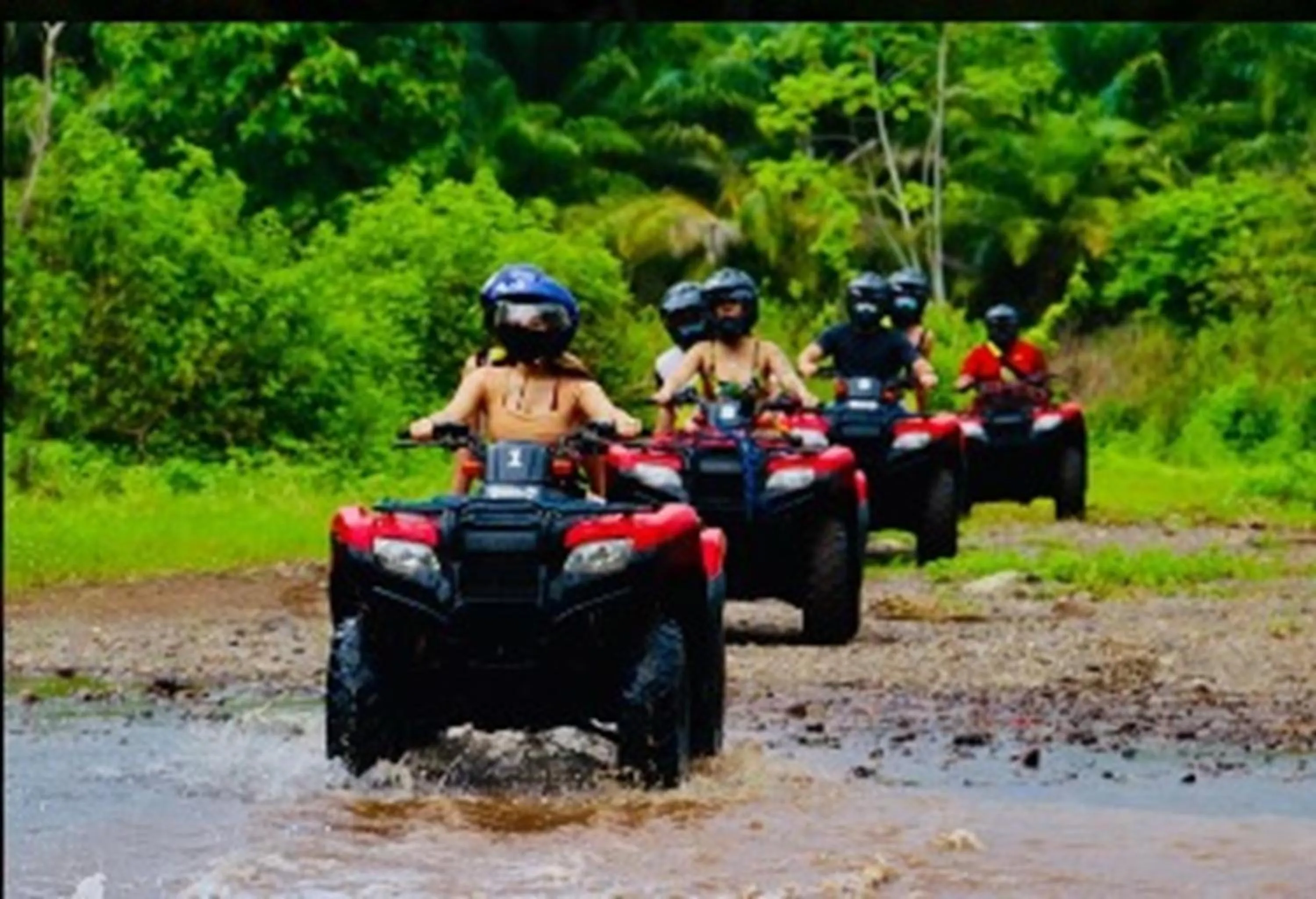 Activities in Hotel Planeta Sano