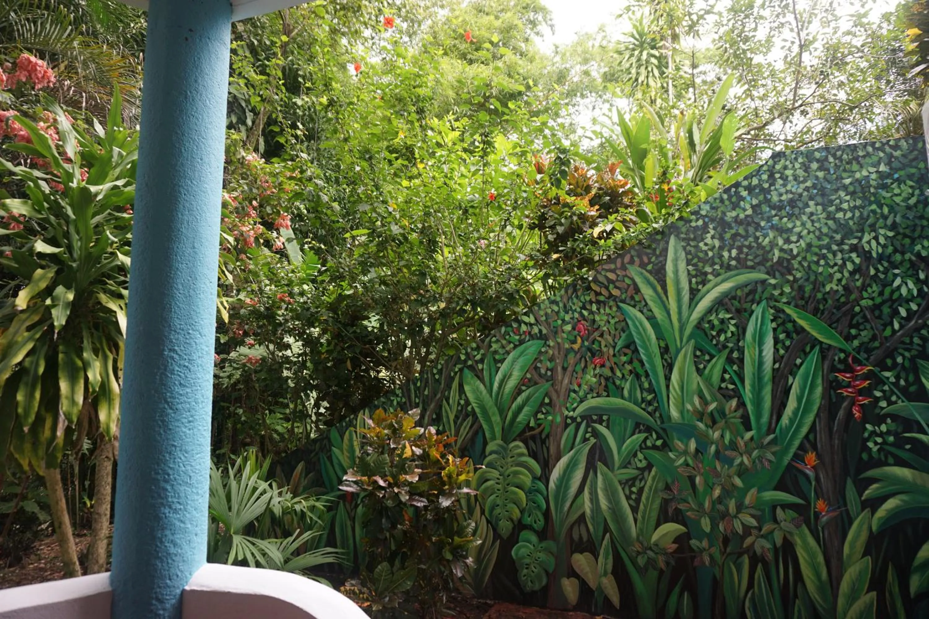 Garden in Hotel Planeta Sano