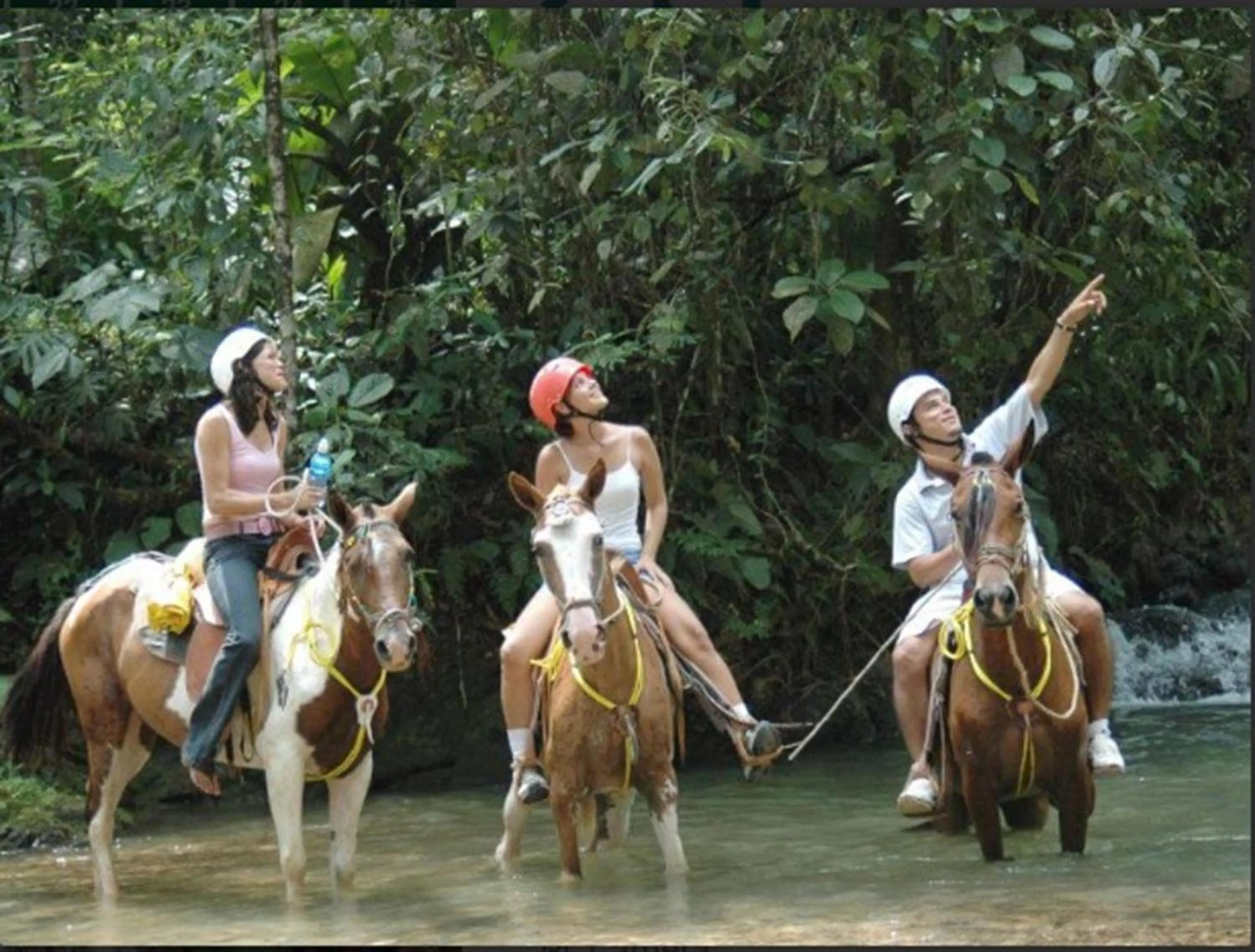 Activities in Hotel Planeta Sano