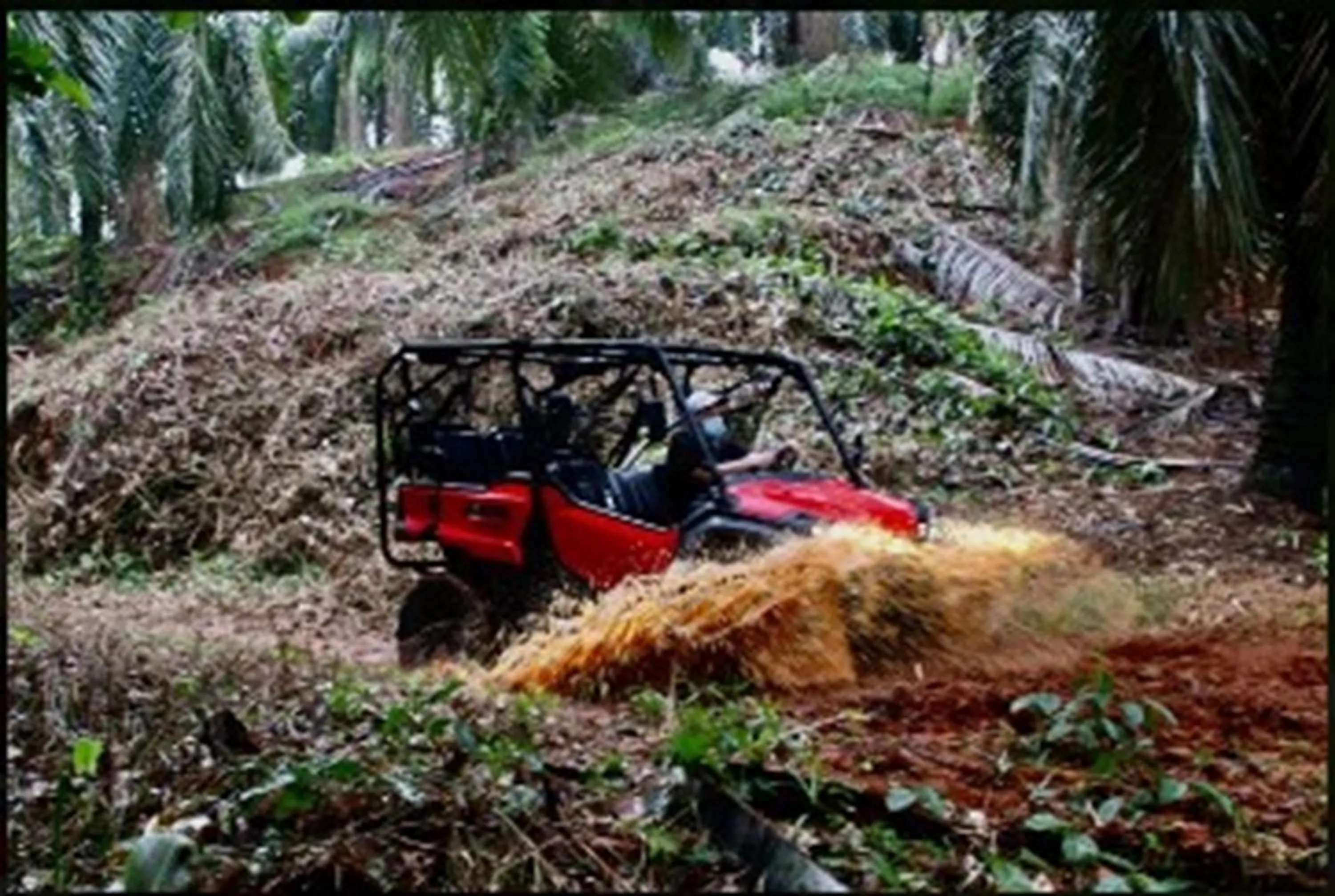 Activities in Hotel Planeta Sano