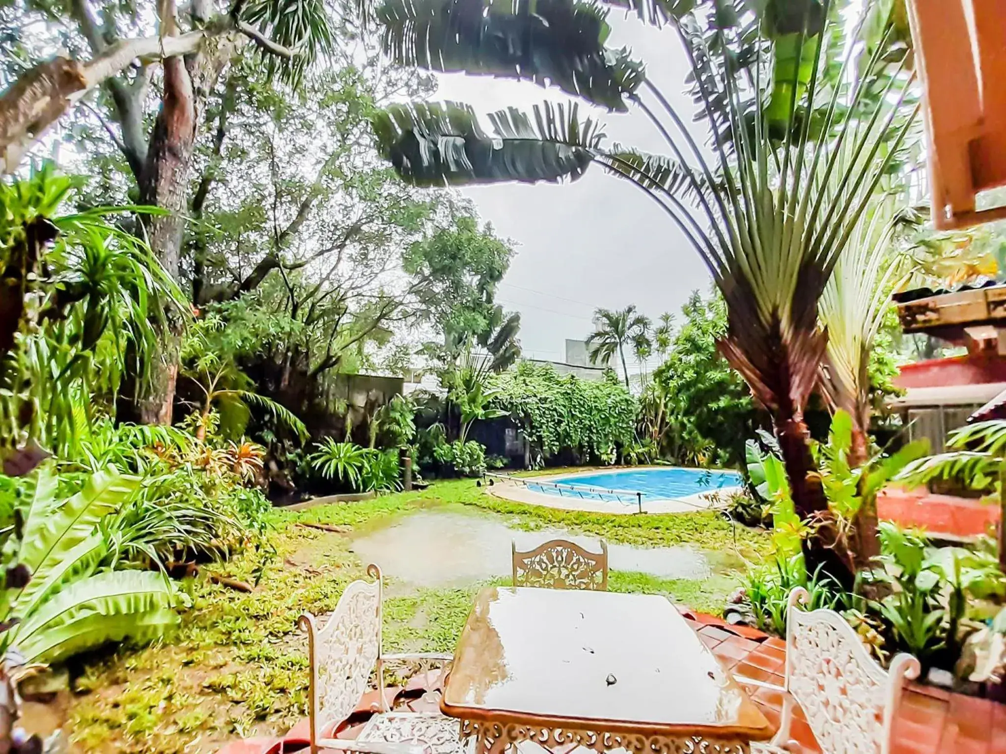 Garden view in Chito's Hotel Garden view in Chito's Hotel